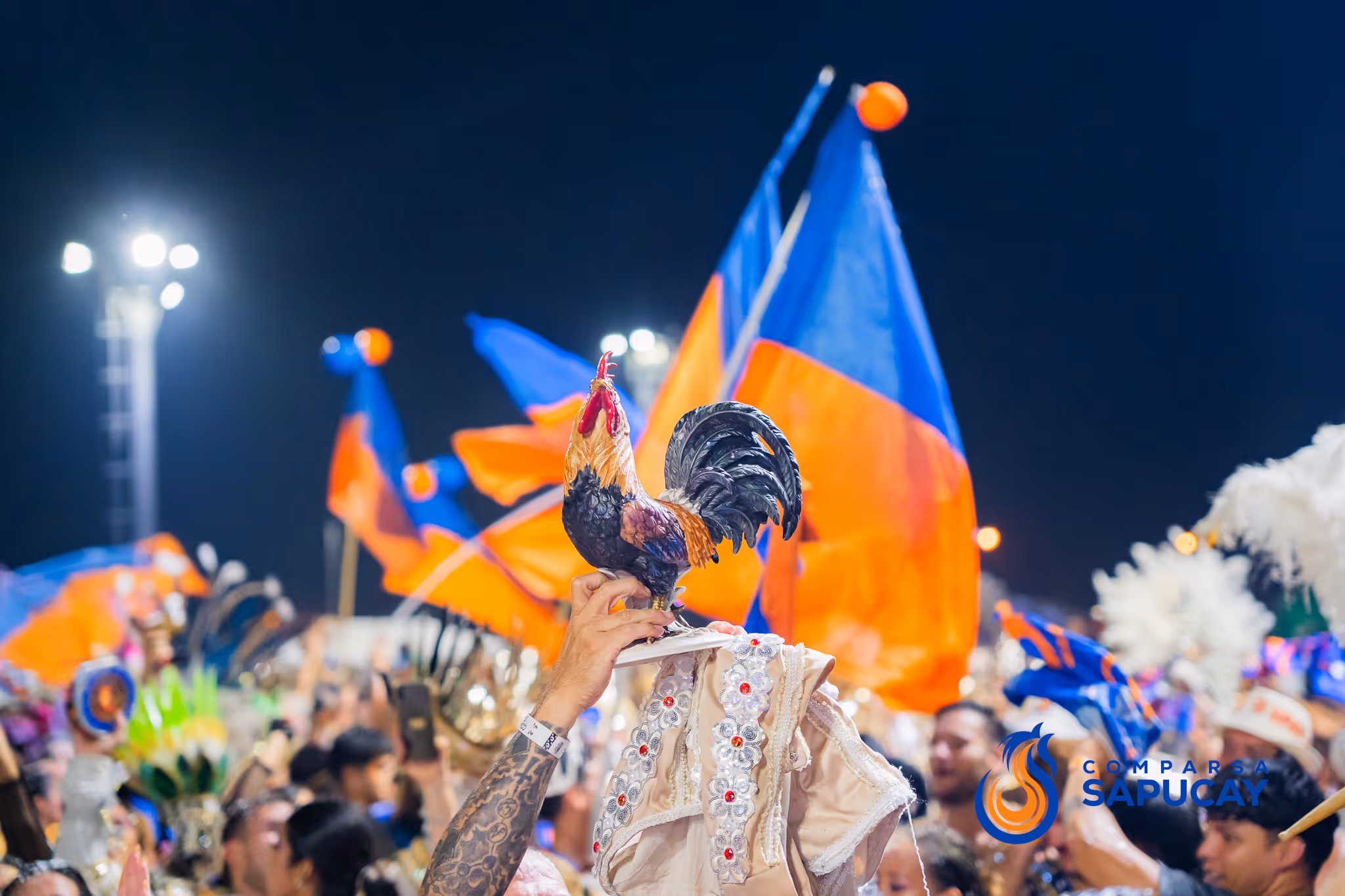 Galería de fotos del corso del Carnaval 2025