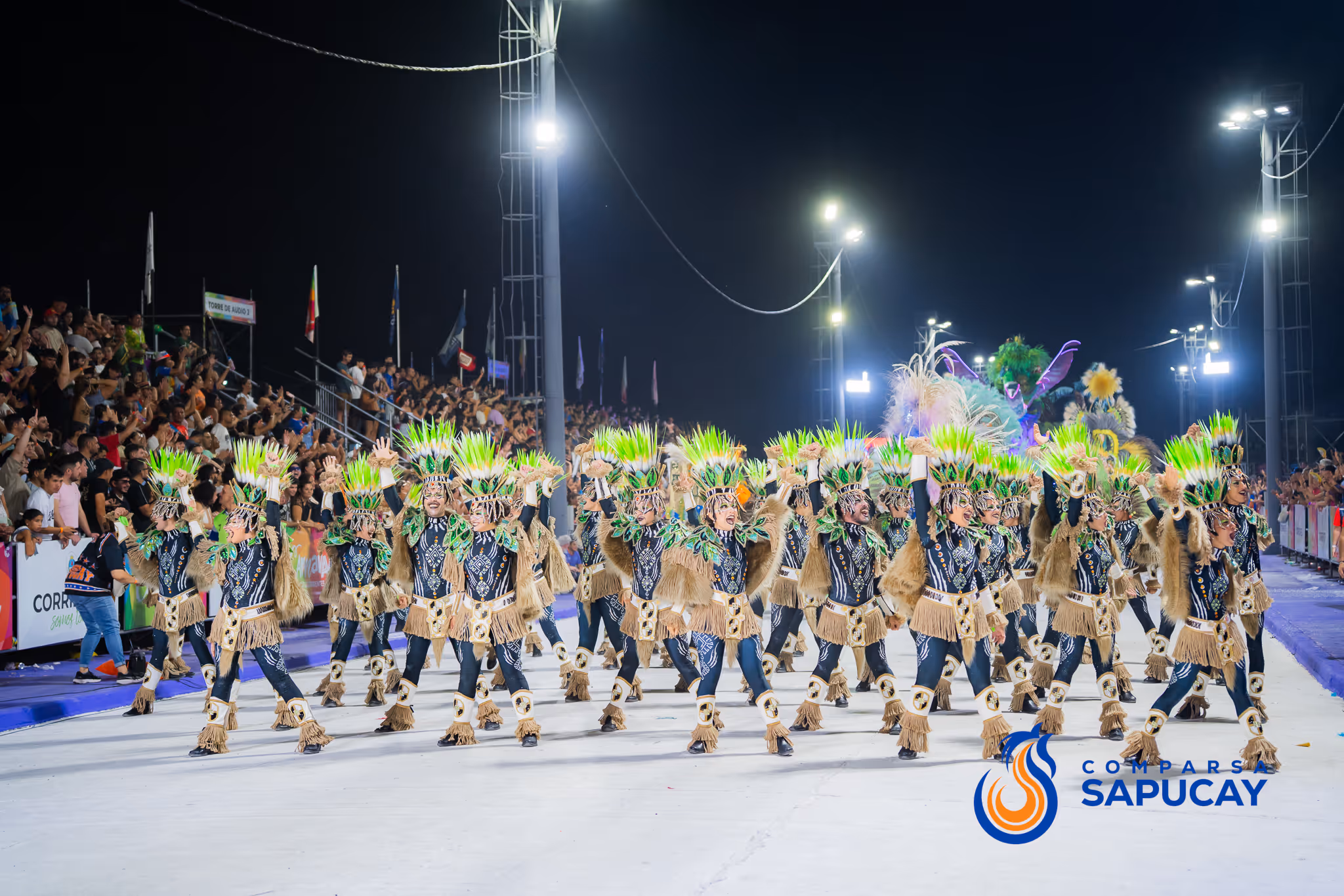 Galería de fotos del corso del Carnaval 2025