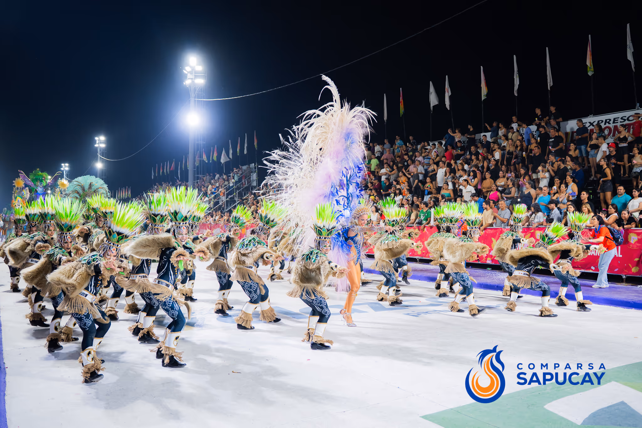 Galería de fotos del corso del Carnaval 2025