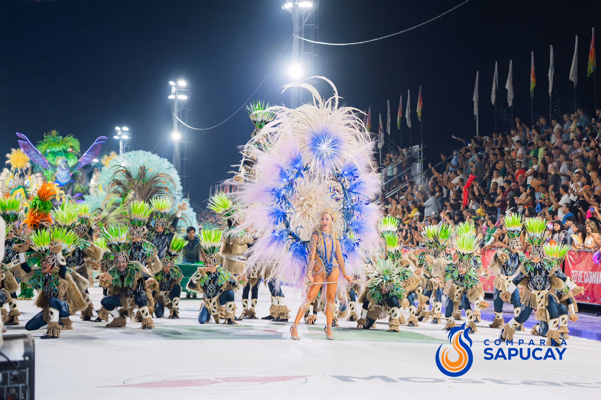 Galería de fotos del corso del Carnaval 2025