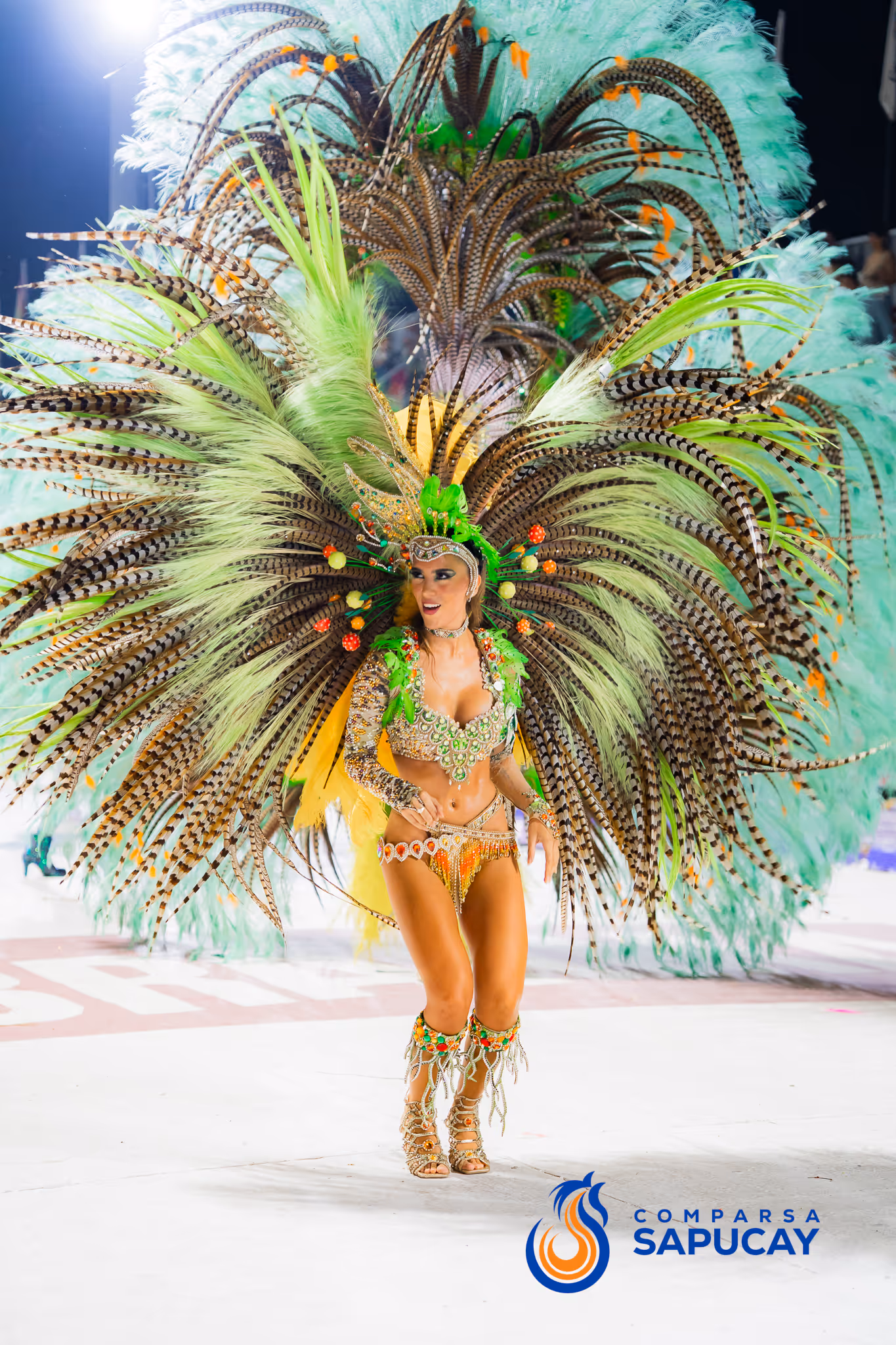 Galería de fotos del corso del Carnaval 2025