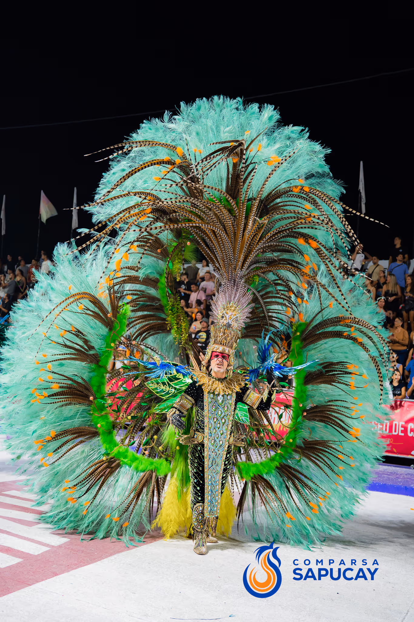 Galería de fotos del corso del Carnaval 2025