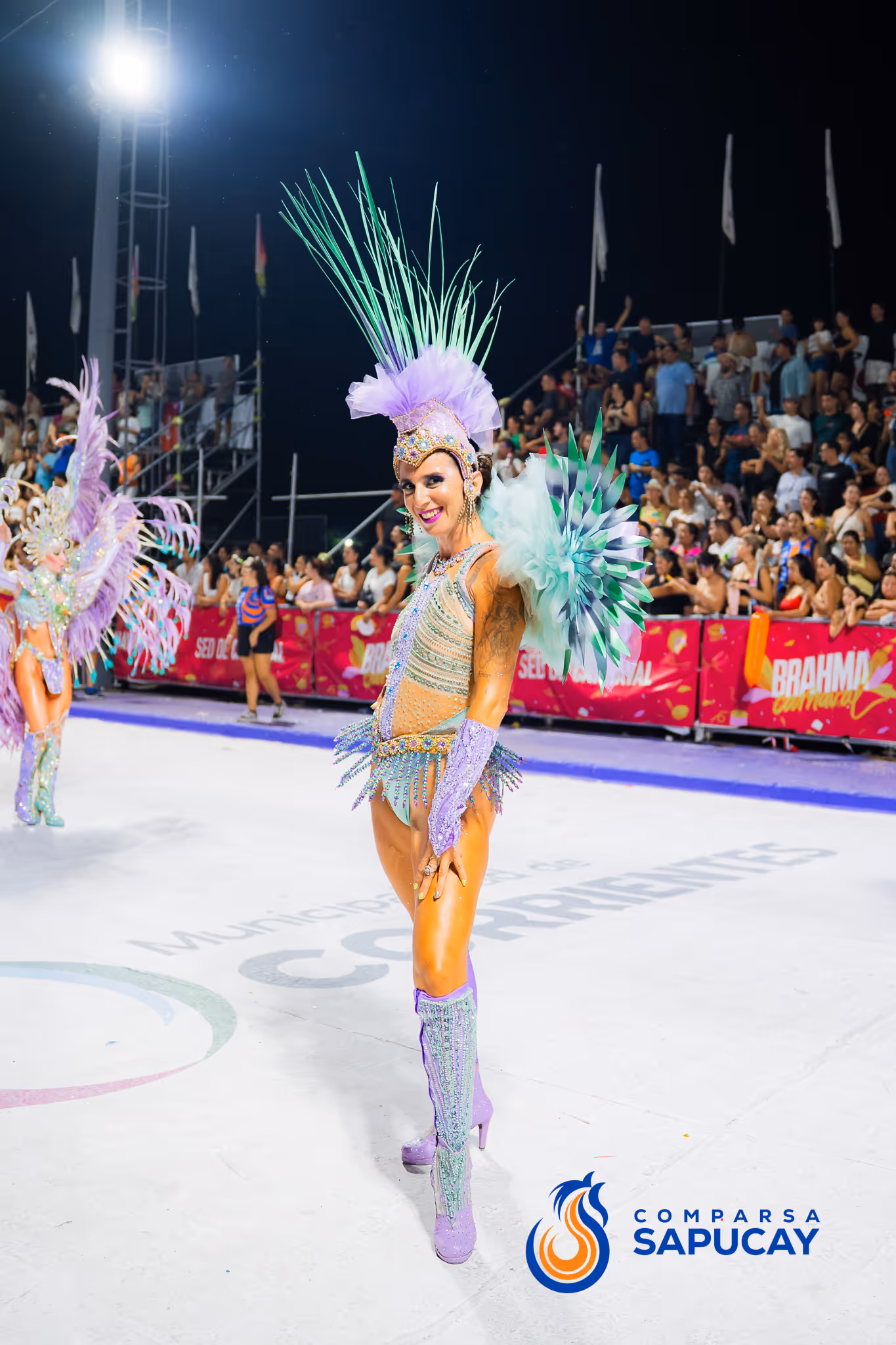 Galería de fotos del corso del Carnaval 2025