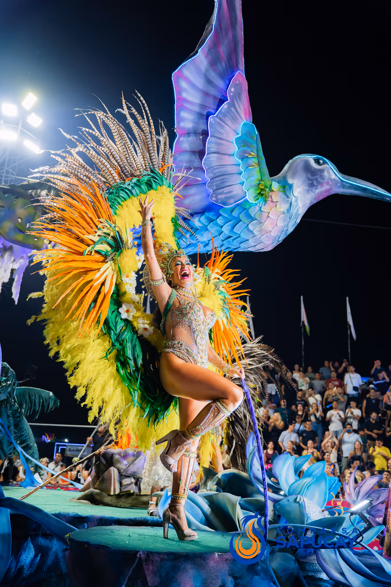 Galería de fotos del corso del Carnaval 2025
