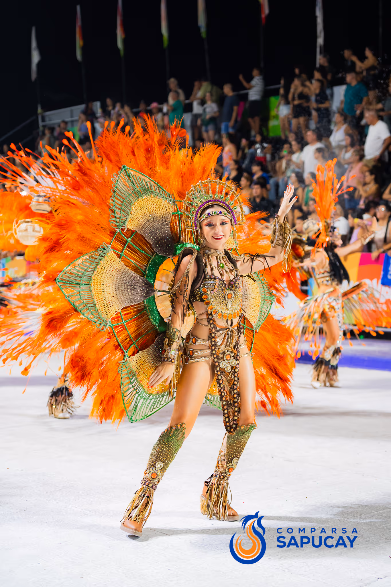 Galería de fotos del corso del Carnaval 2025
