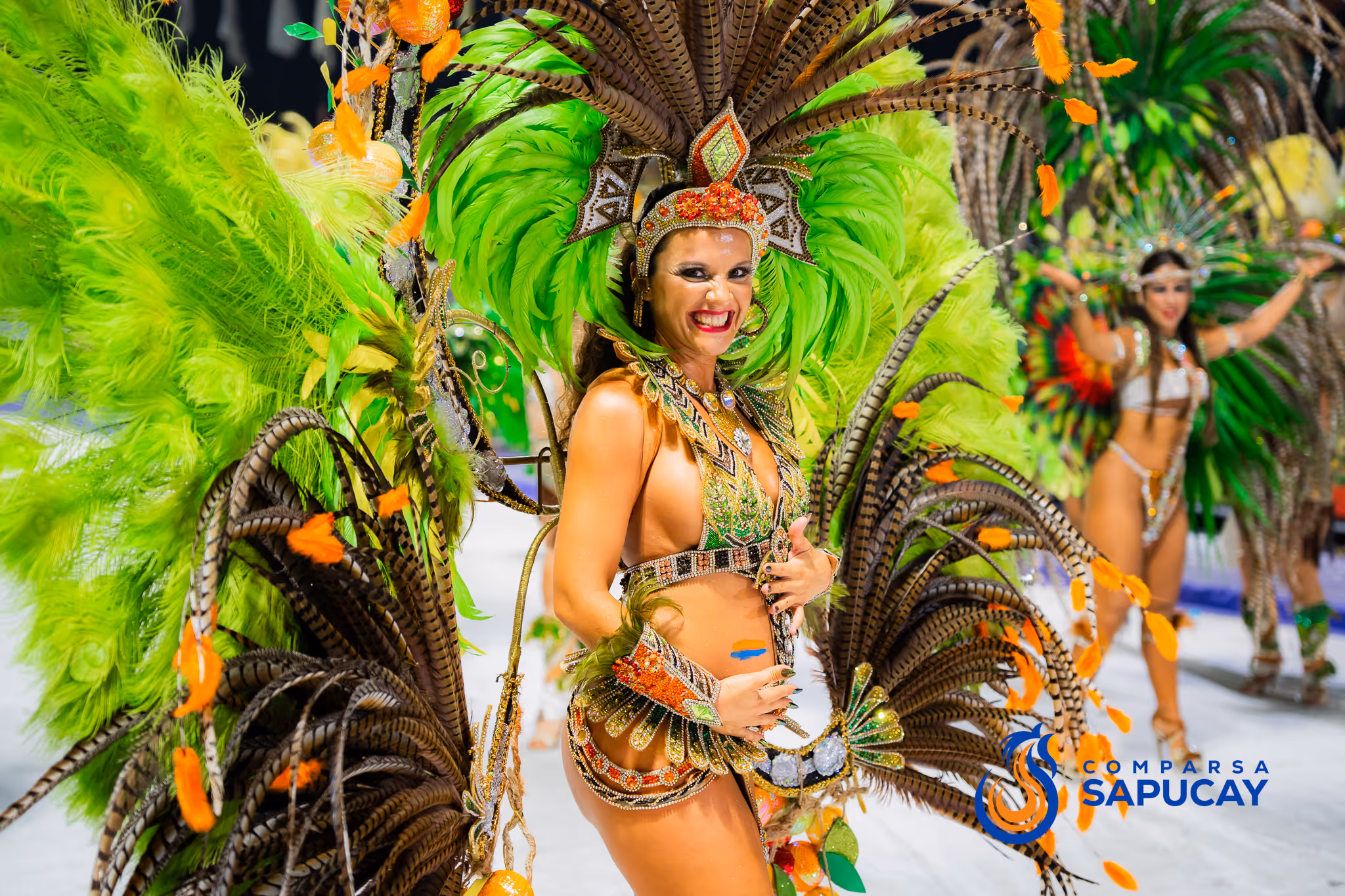 Galería de fotos del corso del Carnaval 2025