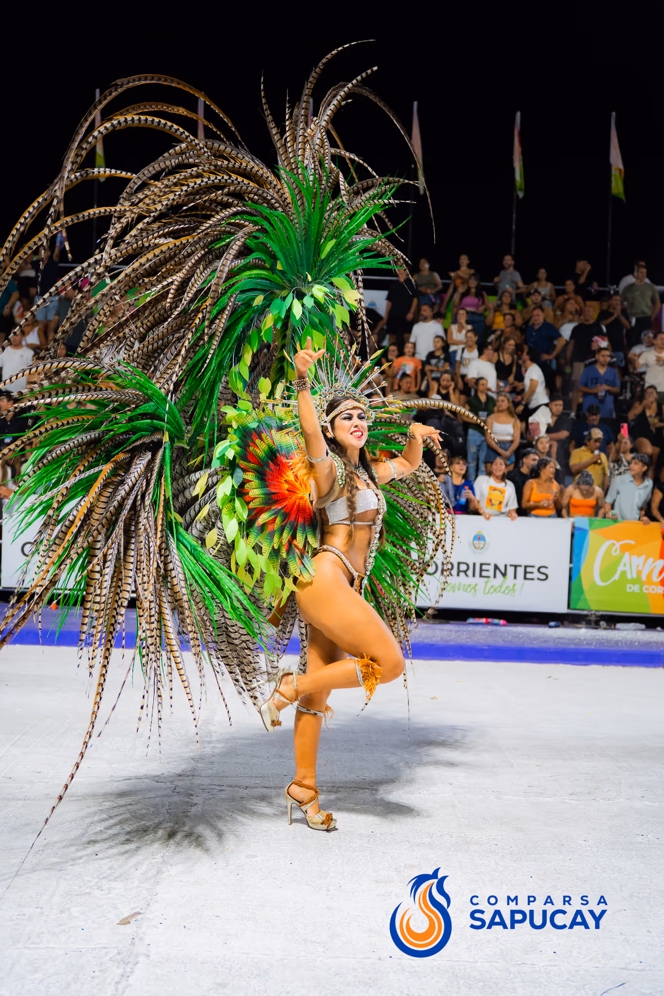 Galería de fotos del corso del Carnaval 2025