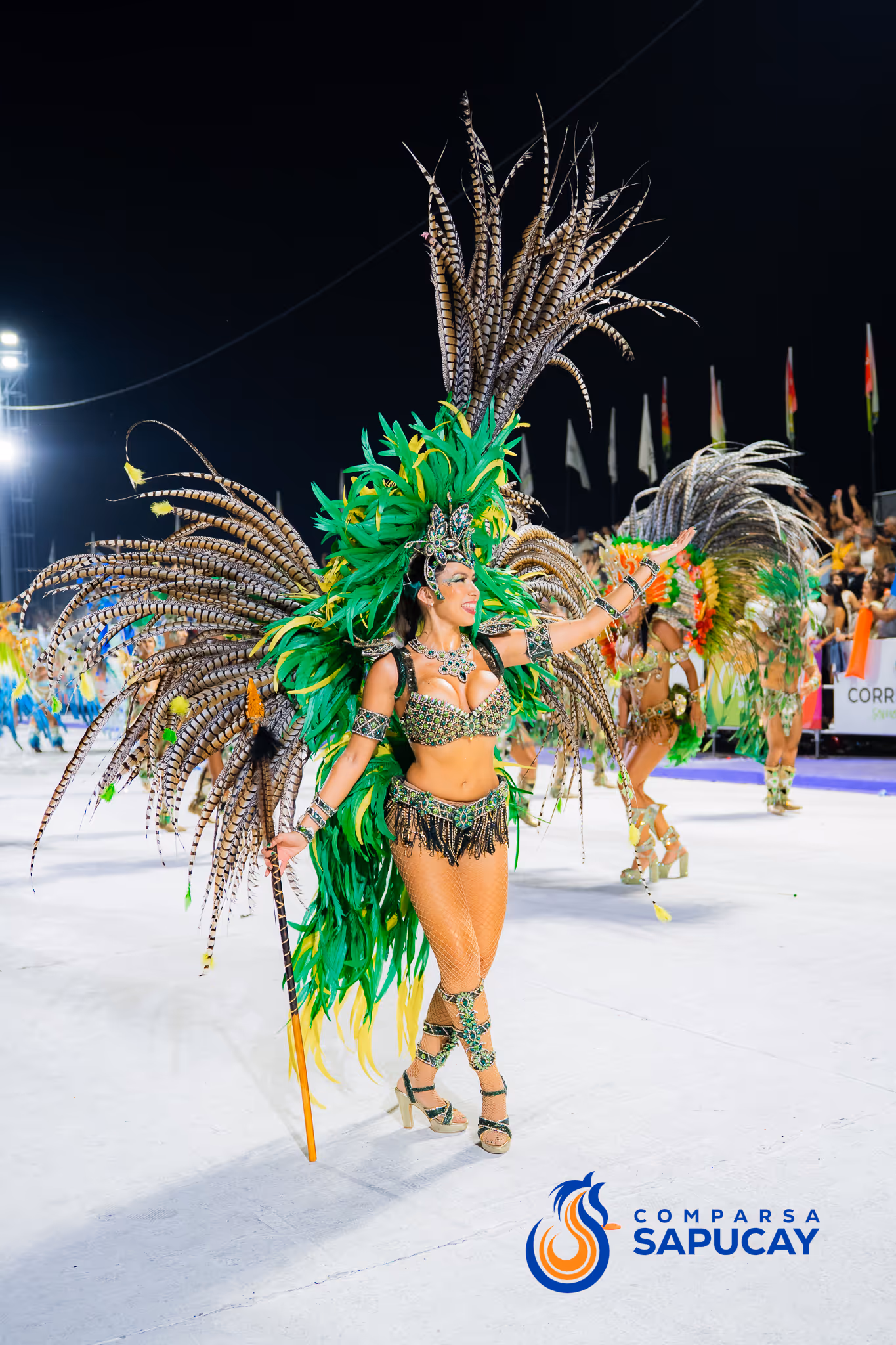 Galería de fotos del corso del Carnaval 2025