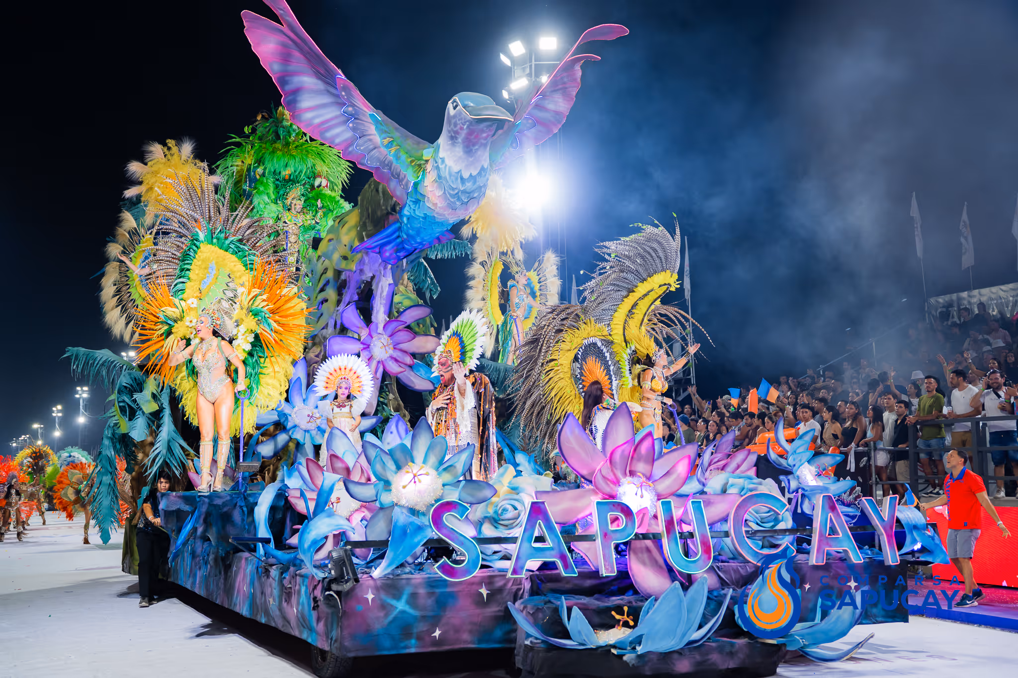 Galería de fotos del corso del Carnaval 2025