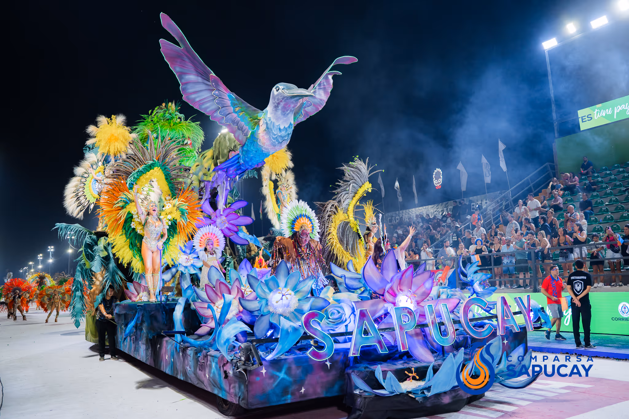 Galería de fotos del corso del Carnaval 2025