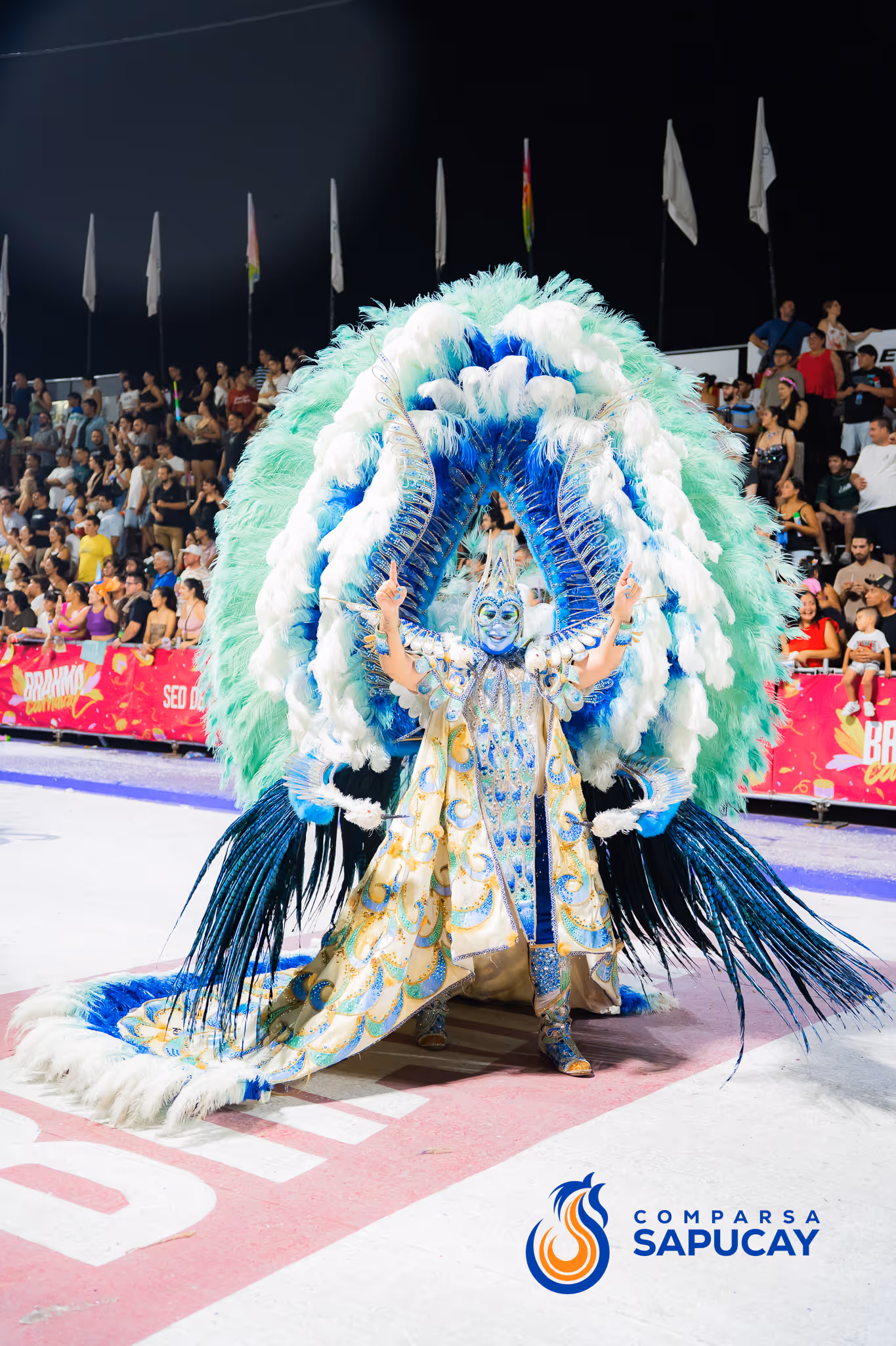Galería de fotos del corso del Carnaval 2025