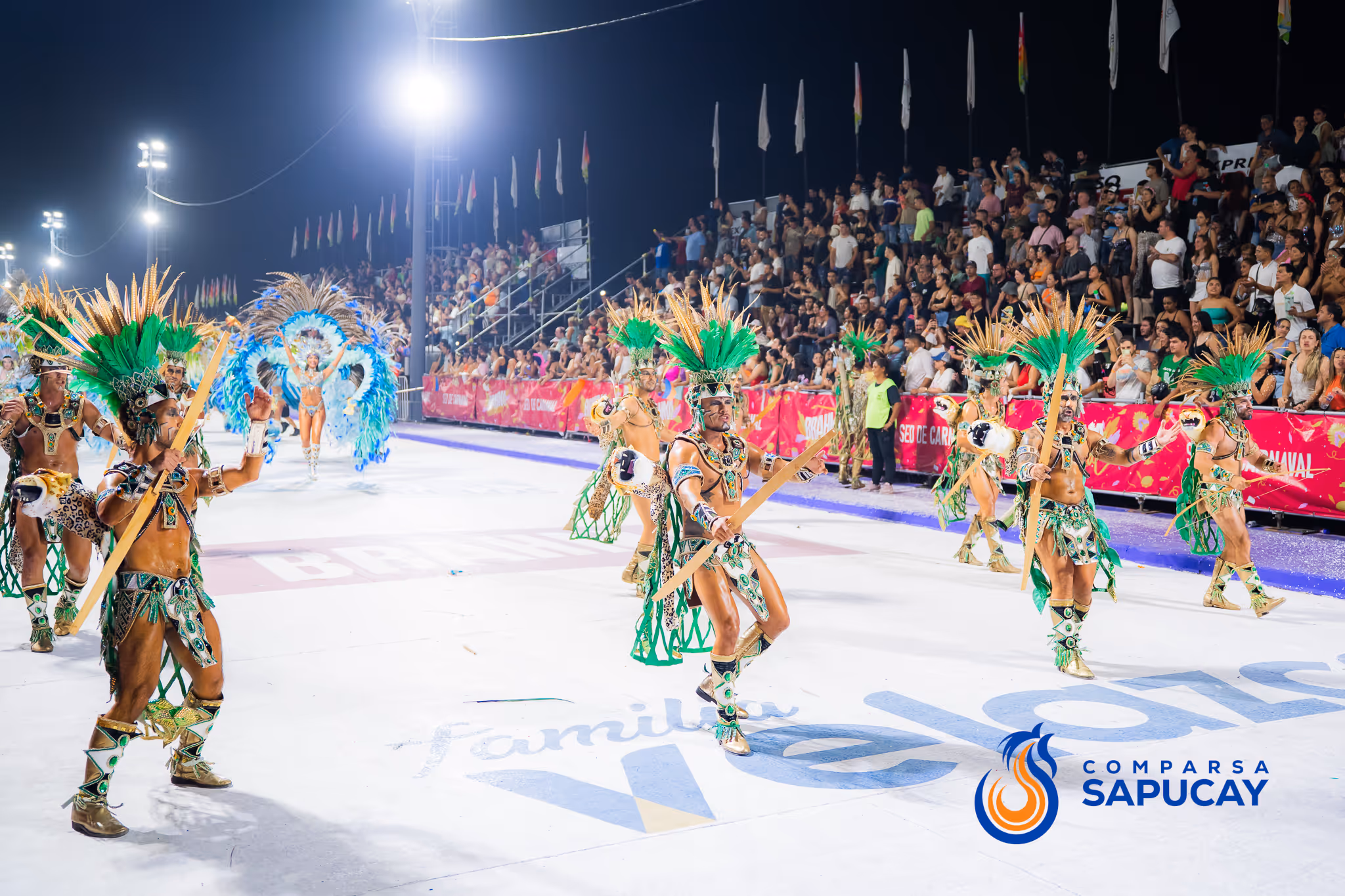 Galería de fotos del corso del Carnaval 2025