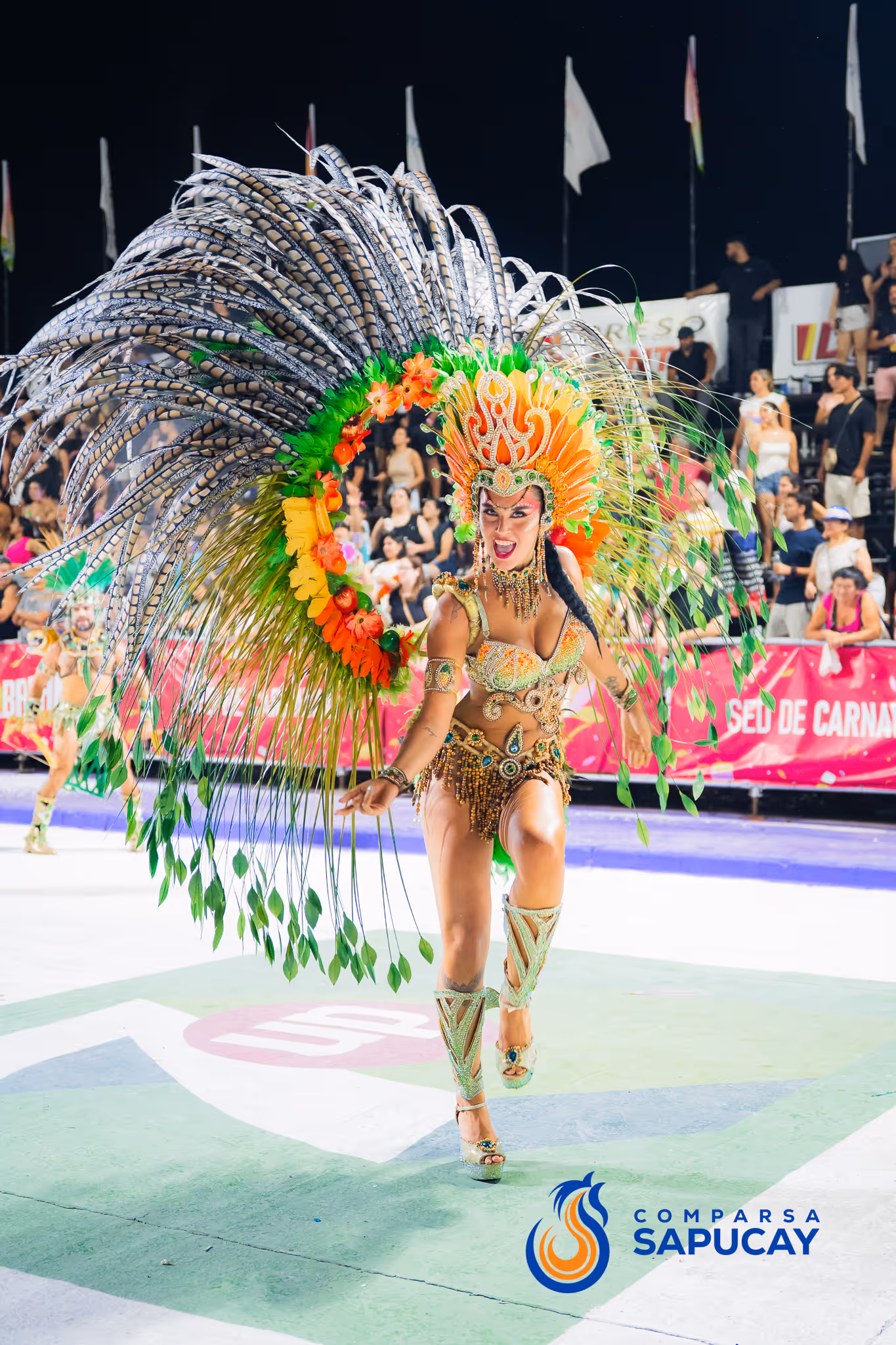 Galería de fotos del corso del Carnaval 2025