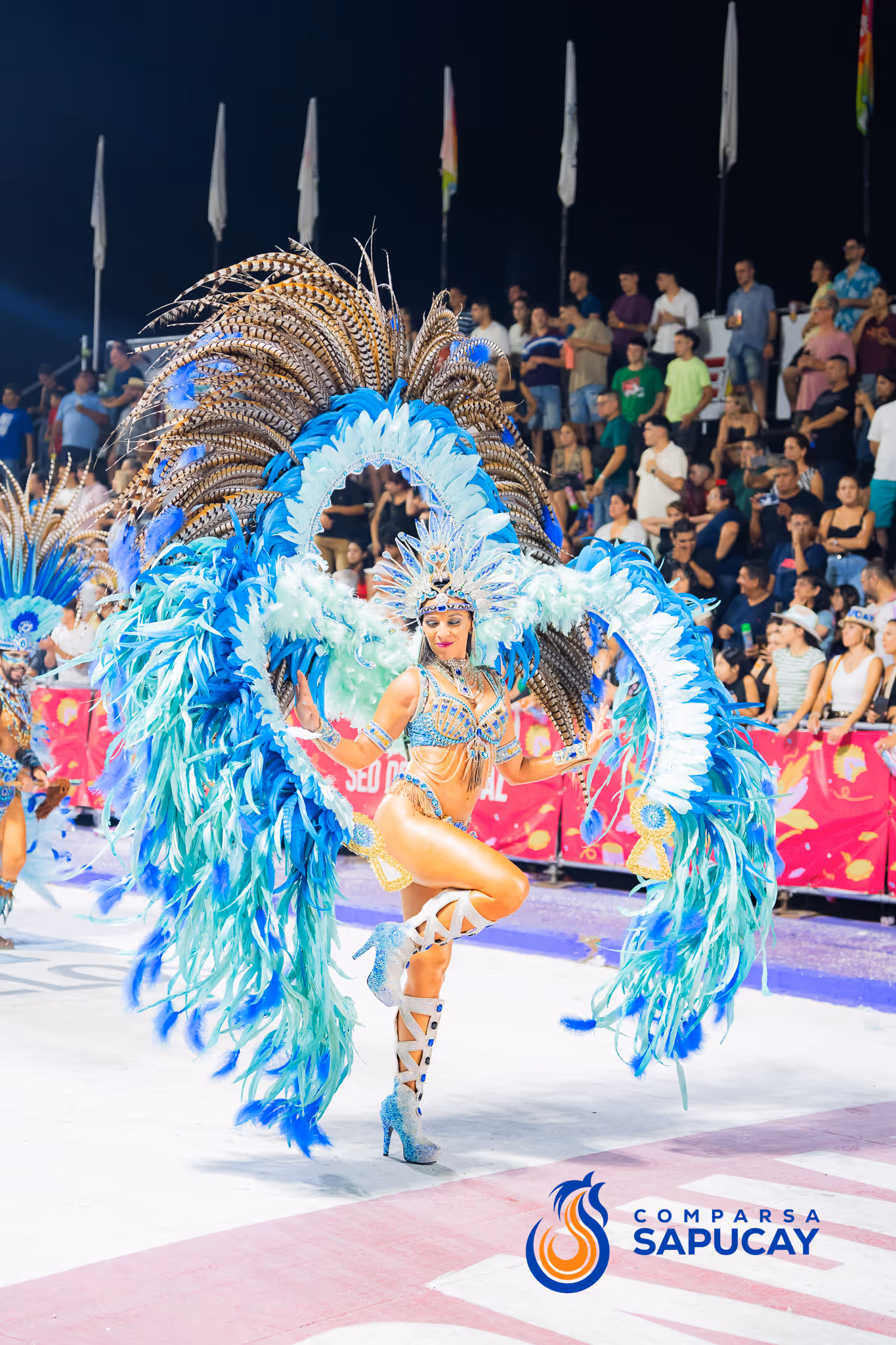 Galería de fotos del corso del Carnaval 2025