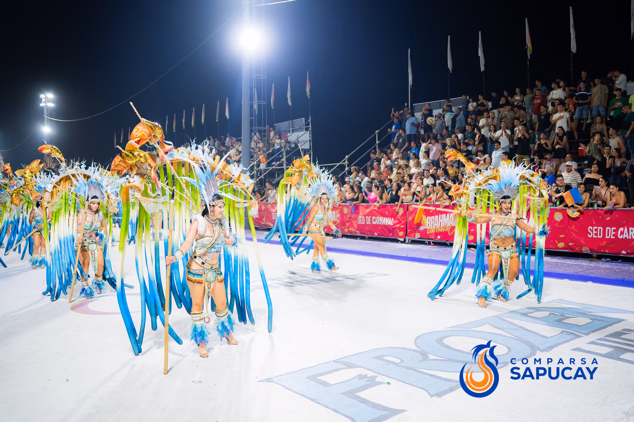 Galería de fotos del corso del Carnaval 2025