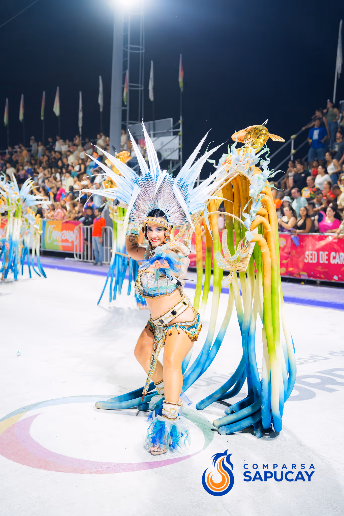Galería de fotos del corso del Carnaval 2025