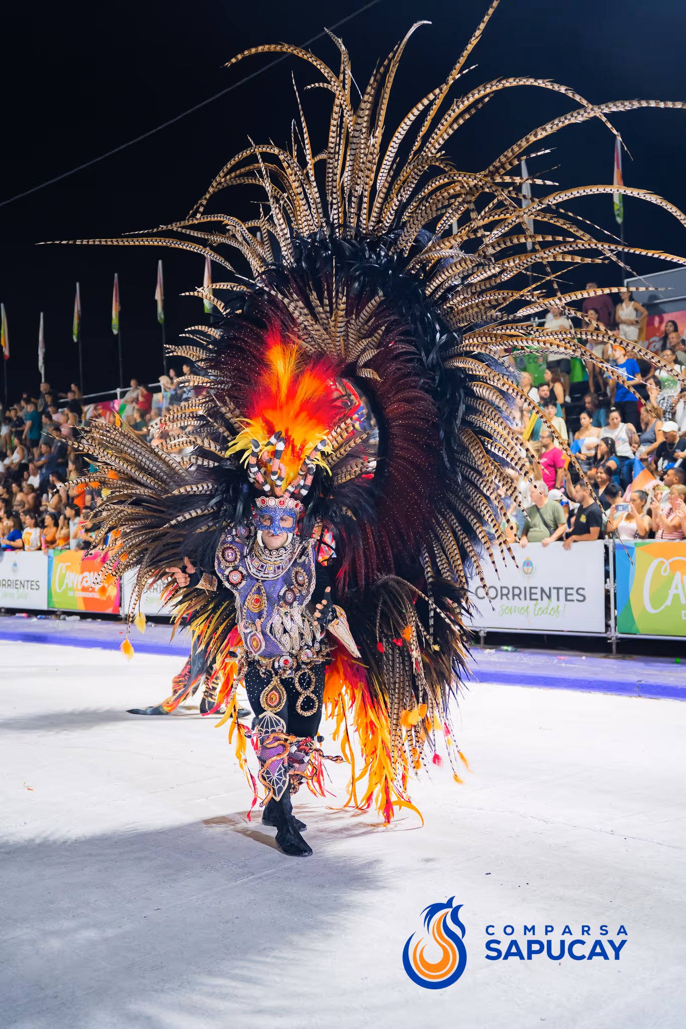 Galería de fotos del corso del Carnaval 2025