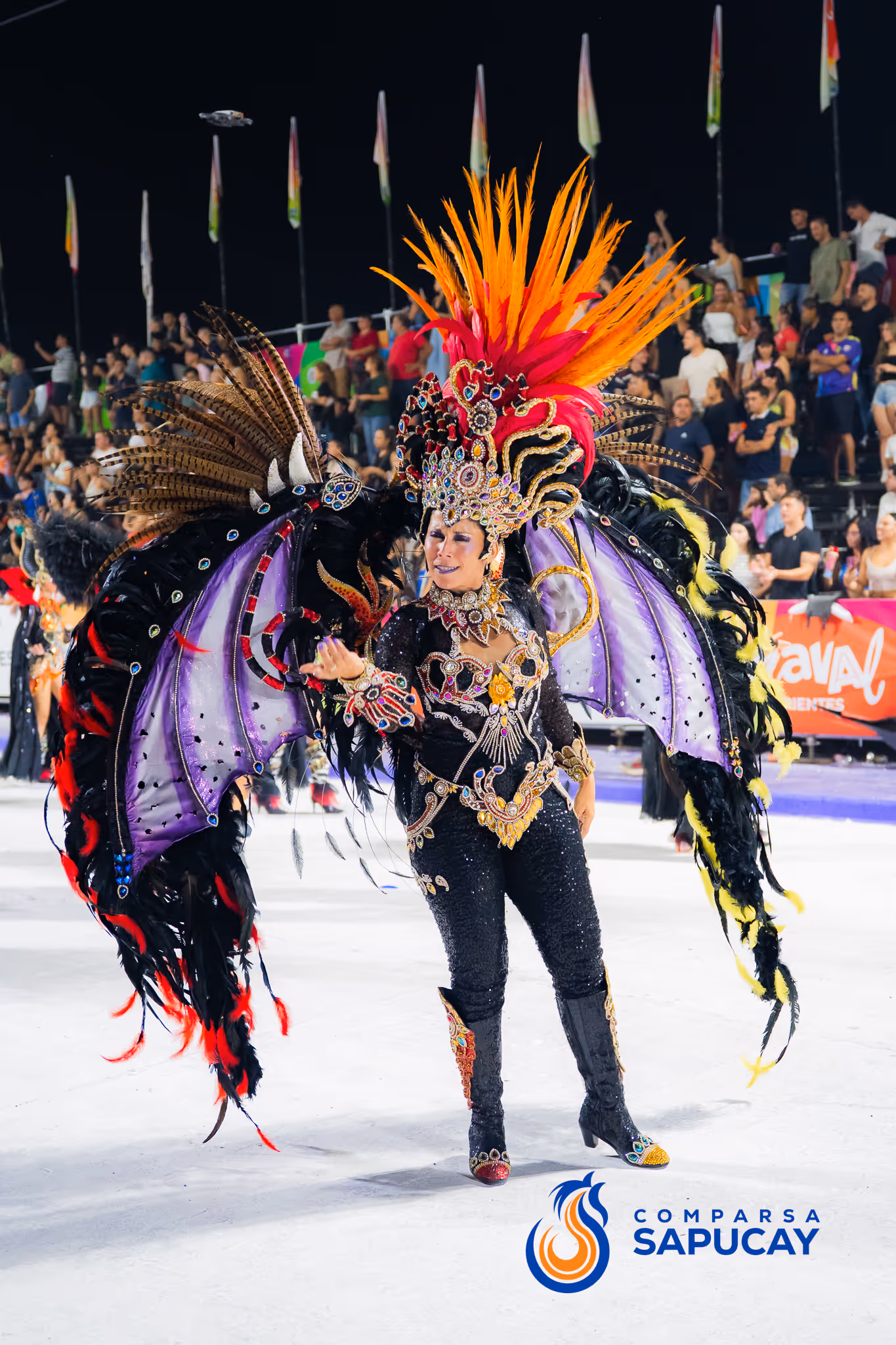 Galería de fotos del corso del Carnaval 2025