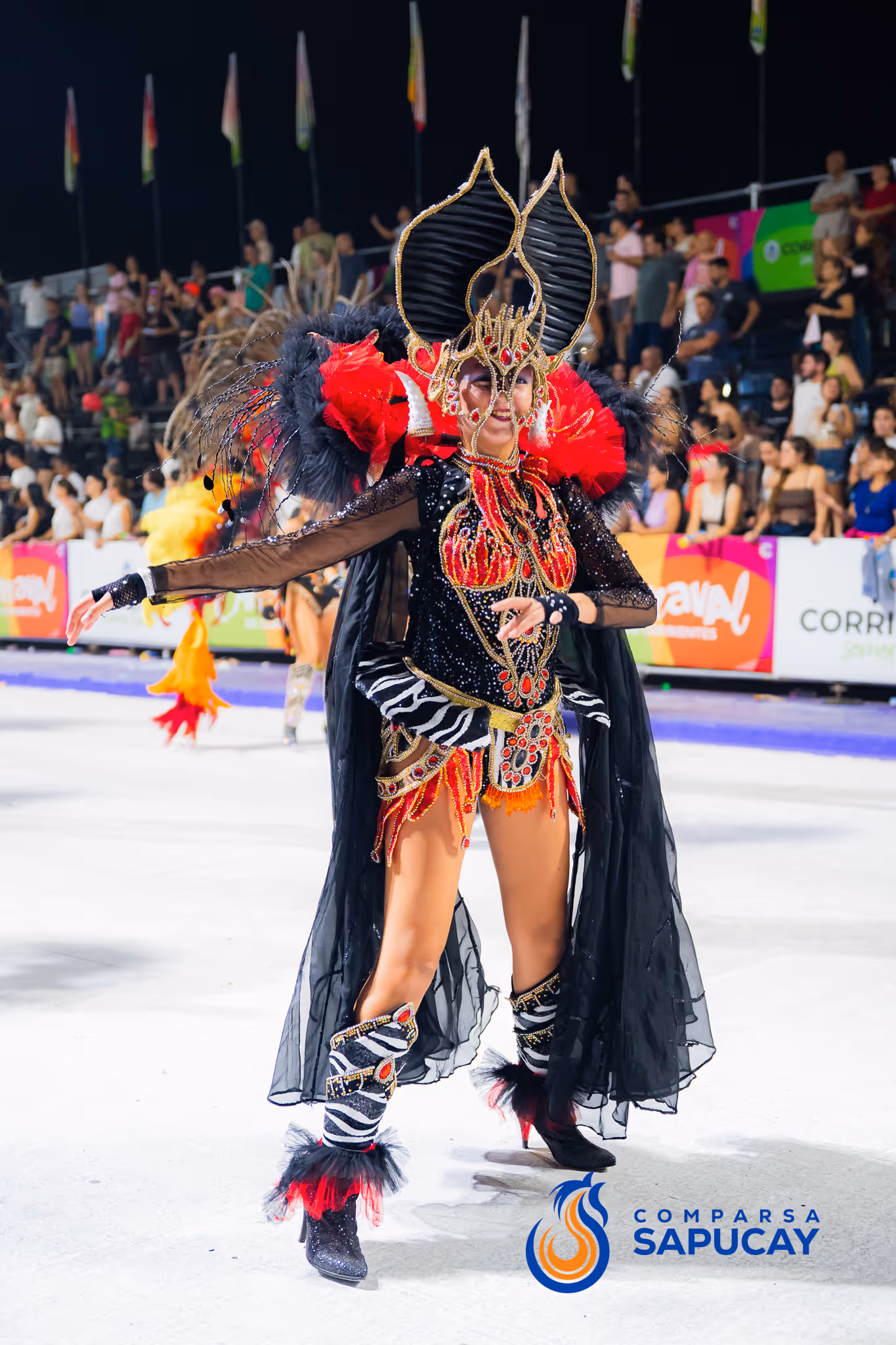 Galería de fotos del corso del Carnaval 2025