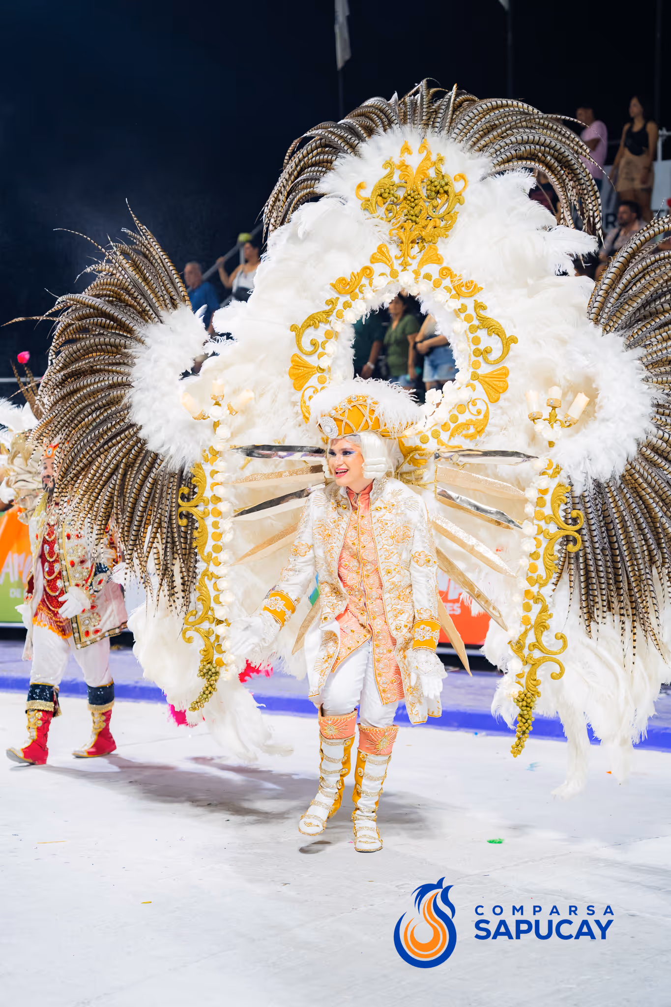 Galería de fotos del corso del Carnaval 2025