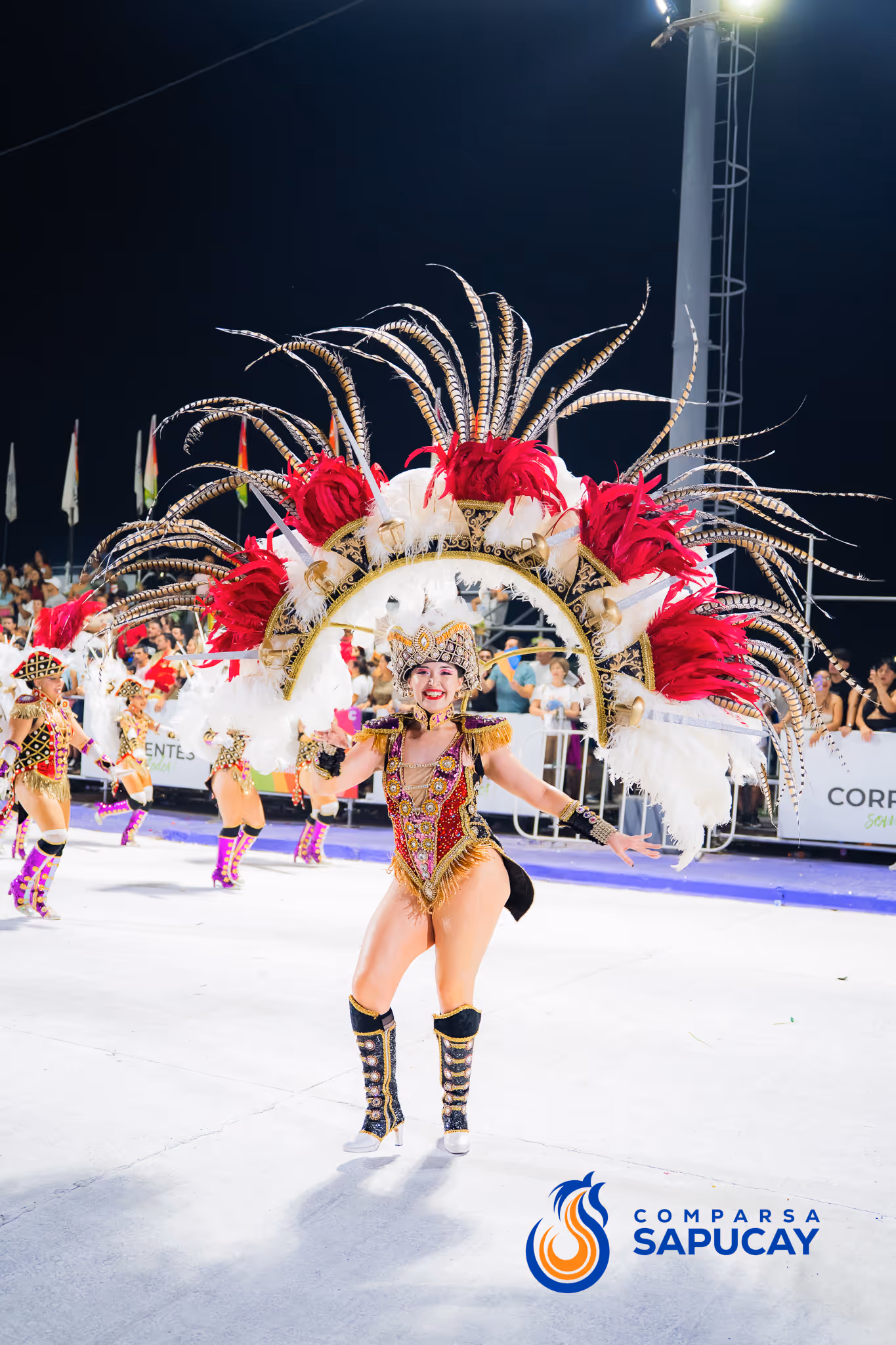 Galería de fotos del corso del Carnaval 2025