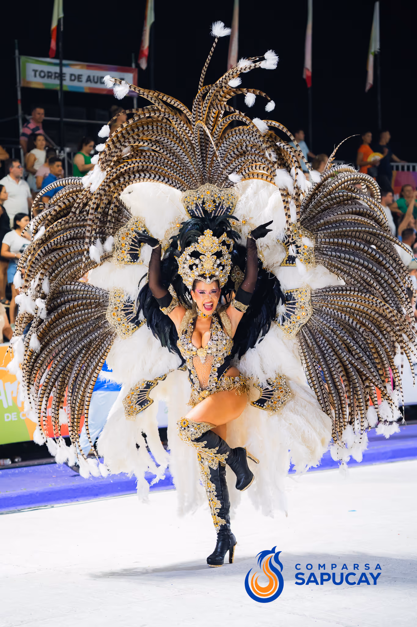 Galería de fotos del corso del Carnaval 2025