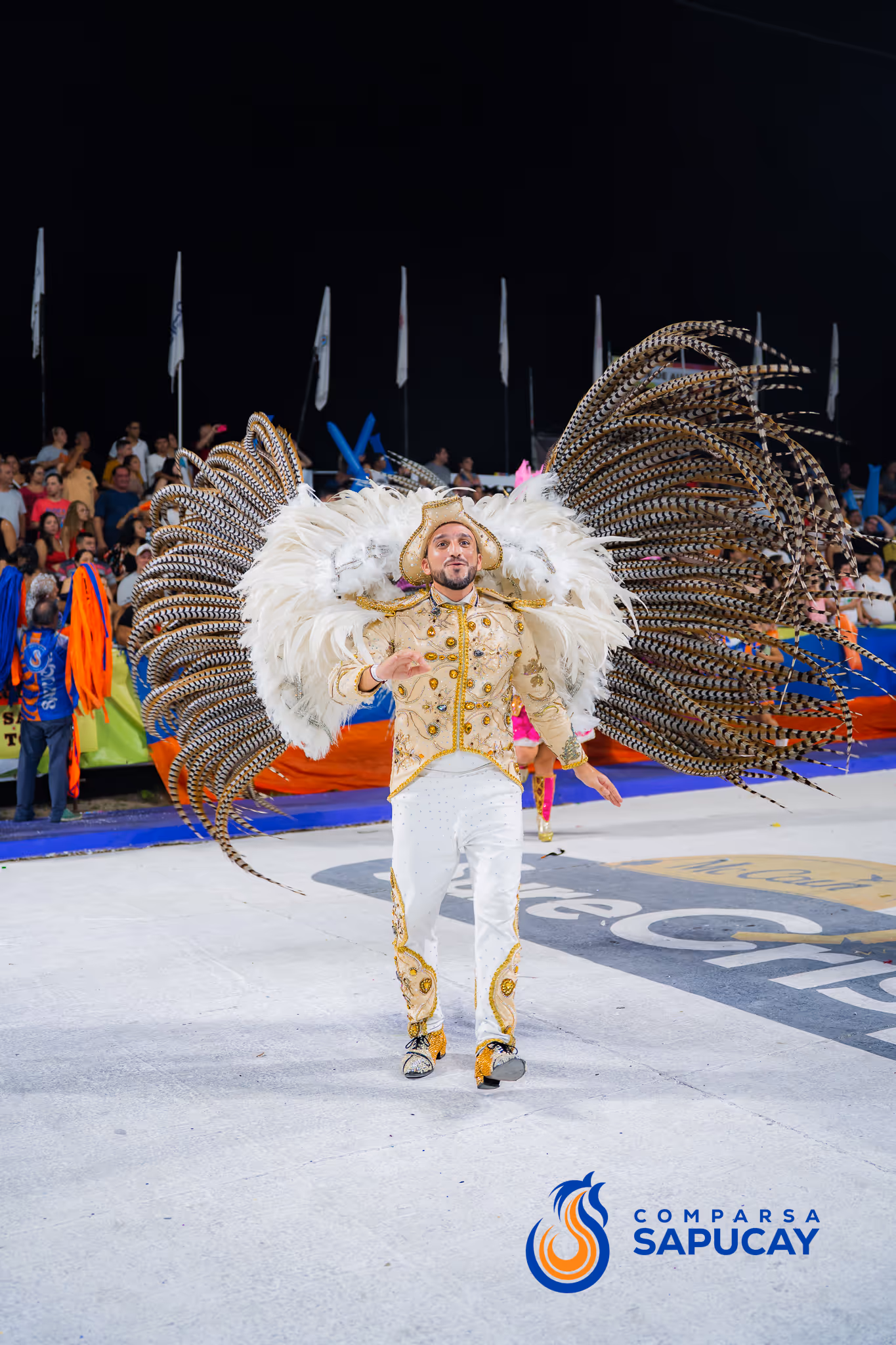Galería de fotos del corso del Carnaval 2025