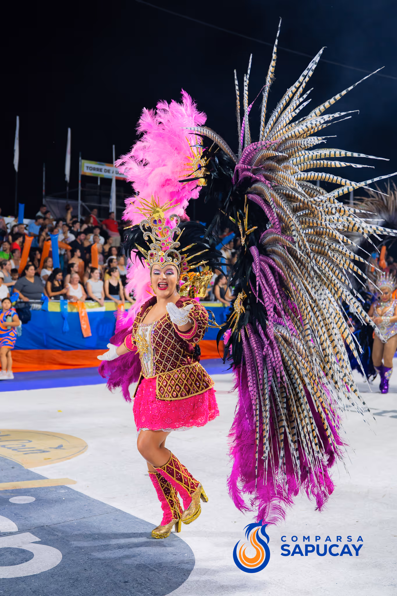 Galería de fotos del corso del Carnaval 2025