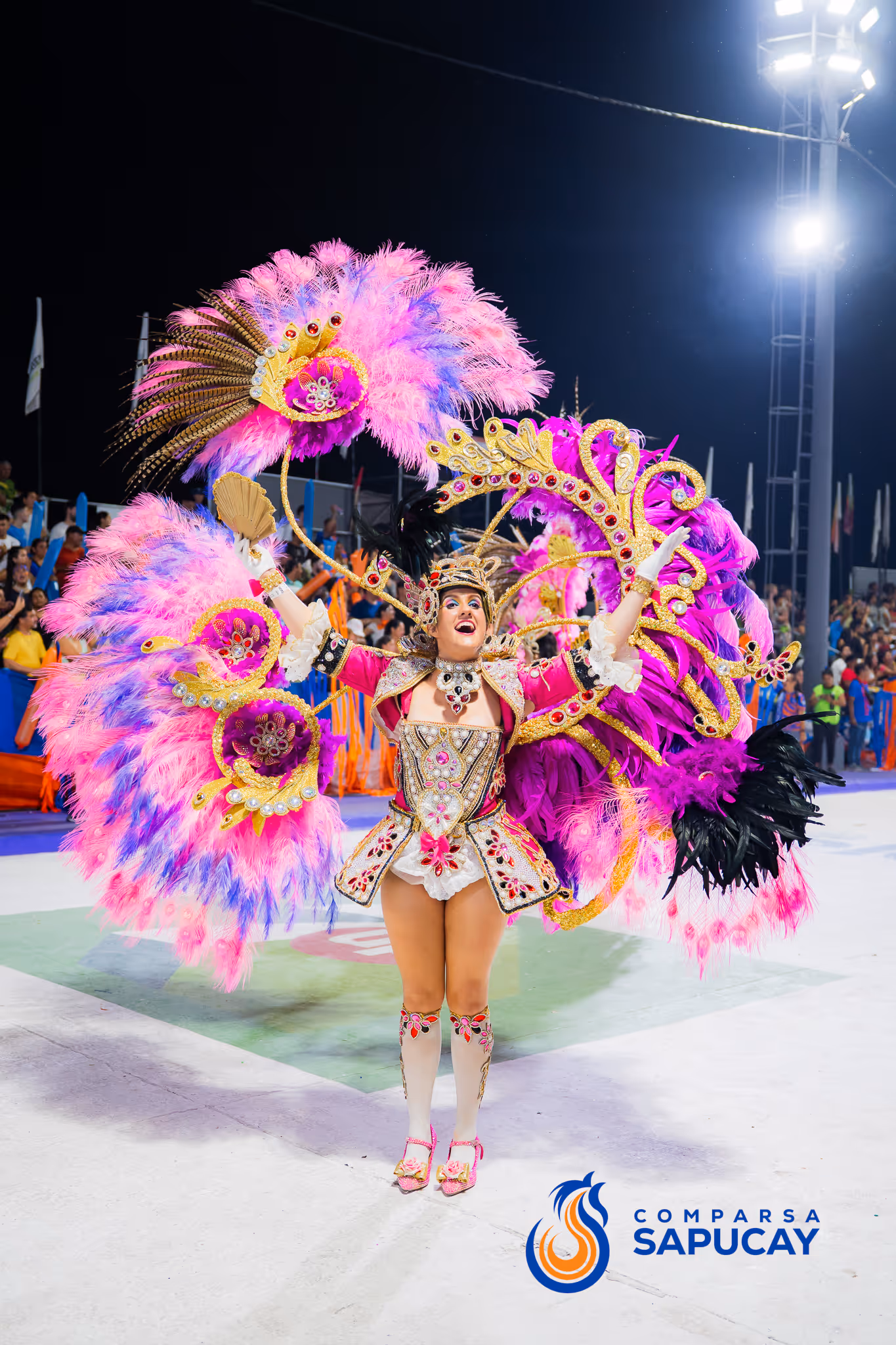 Galería de fotos del corso del Carnaval 2025