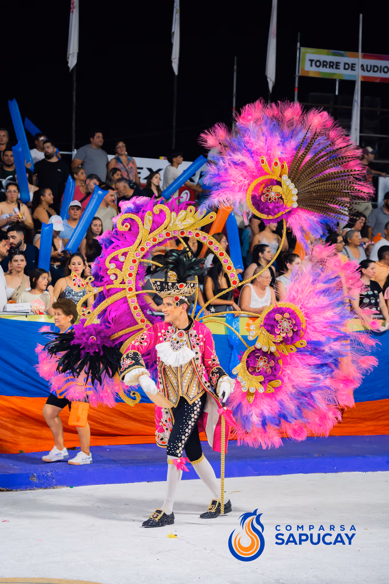 Galería de fotos del corso del Carnaval 2025