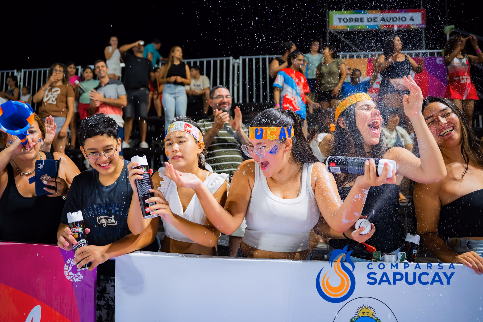 Galería de fotos del corso del Carnaval 2025