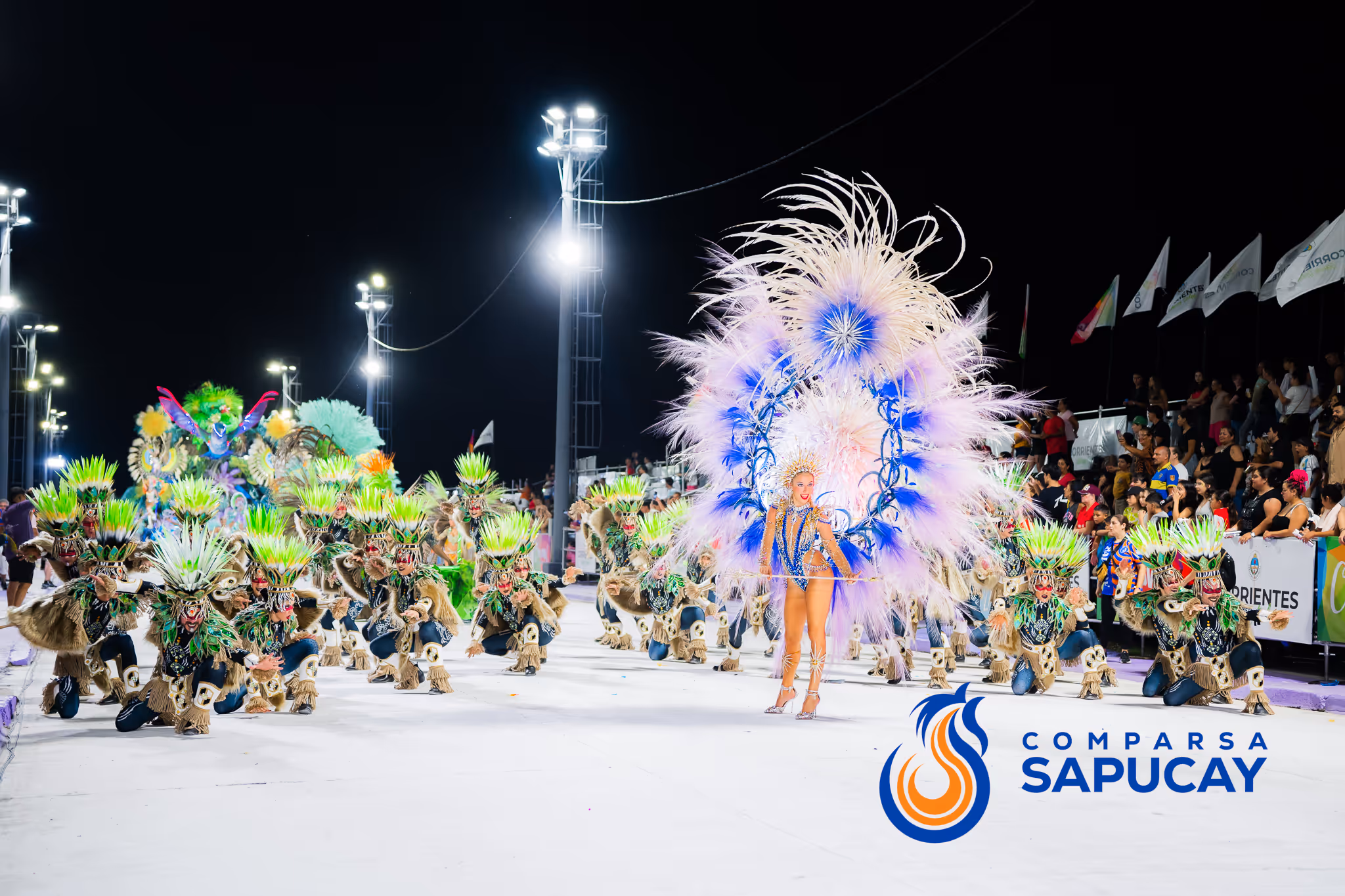Galería de fotos del corso del Carnaval 2025