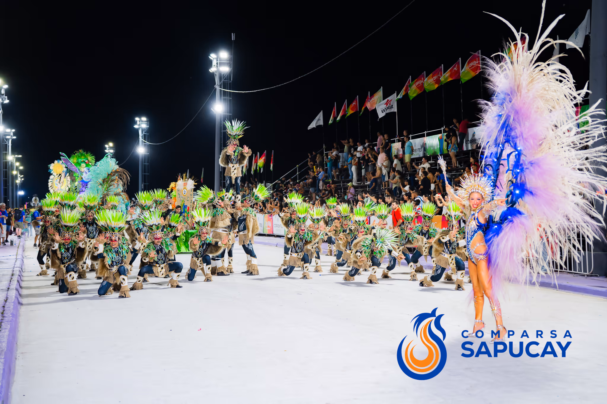 Galería de fotos del corso del Carnaval 2025