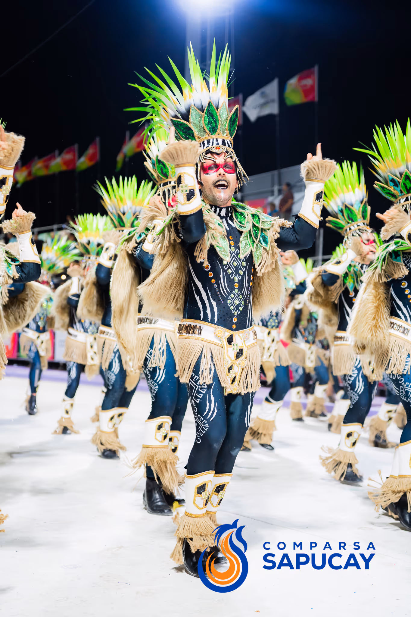 Galería de fotos del corso del Carnaval 2025