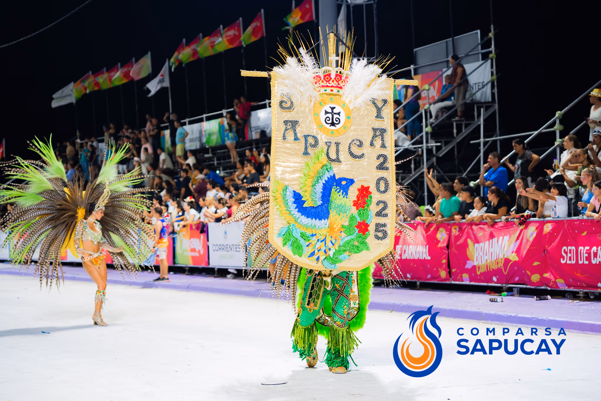 Galería de fotos del corso del Carnaval 2025
