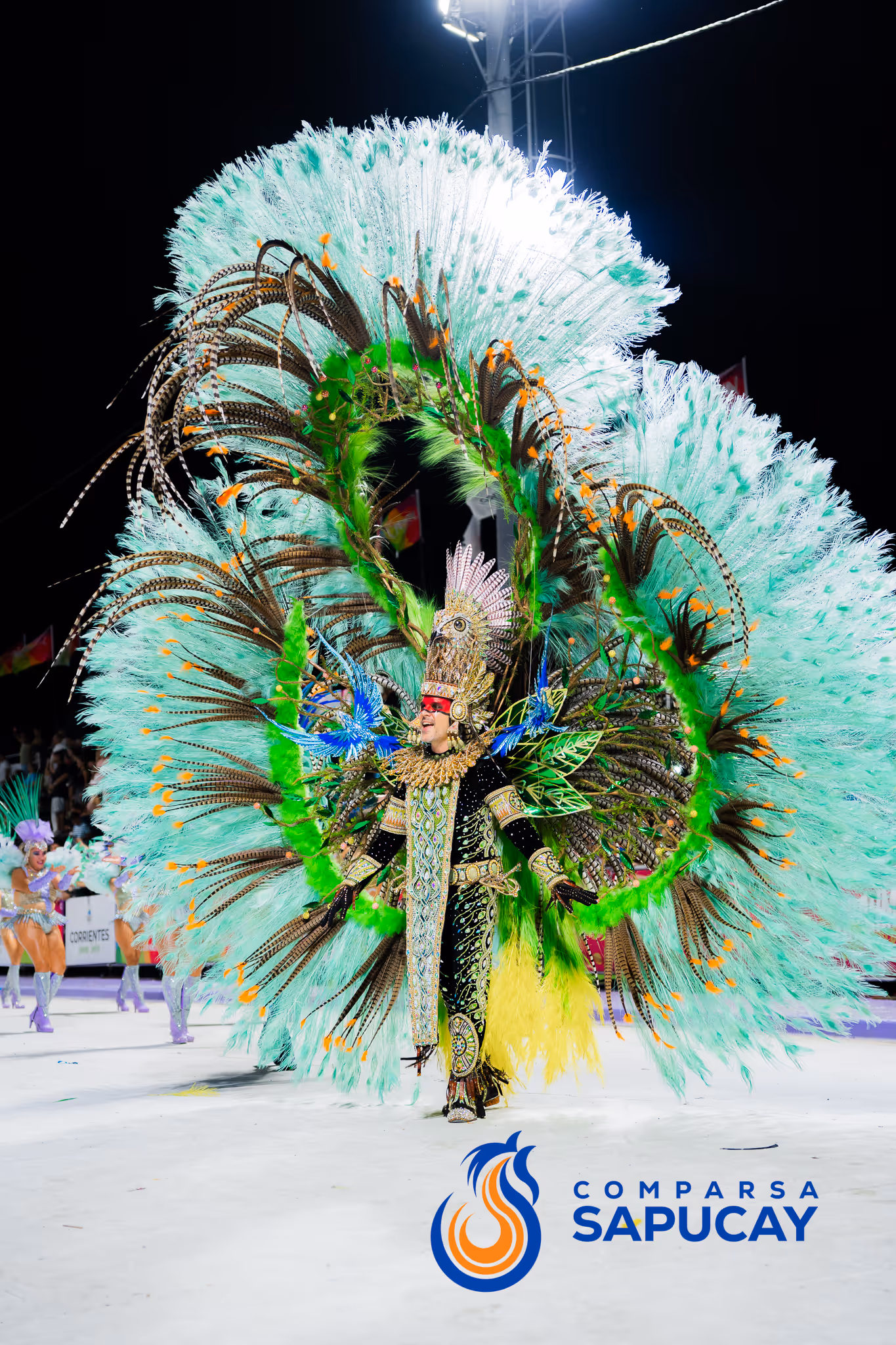 Galería de fotos del corso del Carnaval 2025