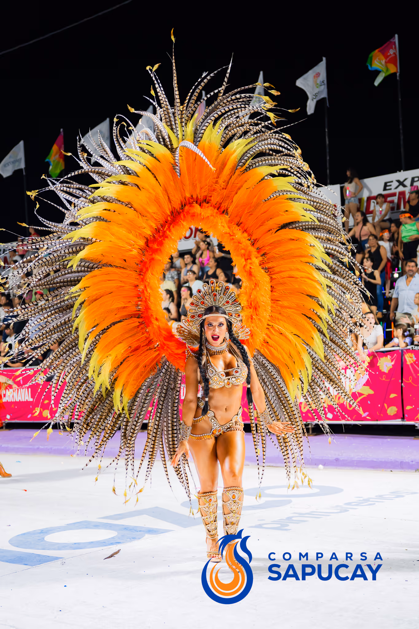 Galería de fotos del corso del Carnaval 2025