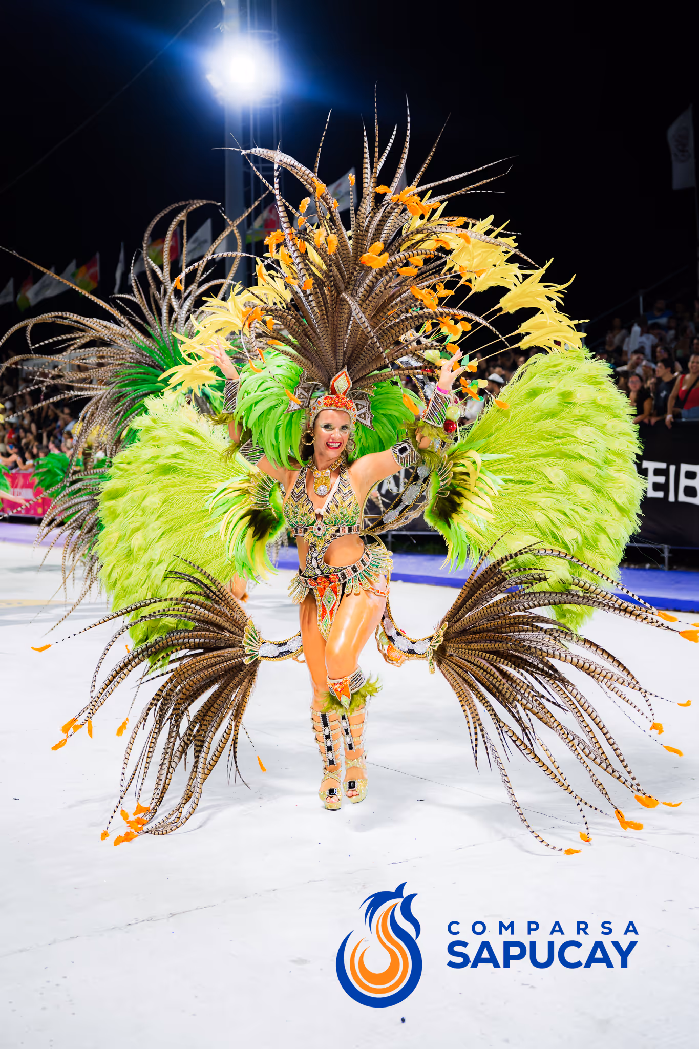 Galería de fotos del corso del Carnaval 2025