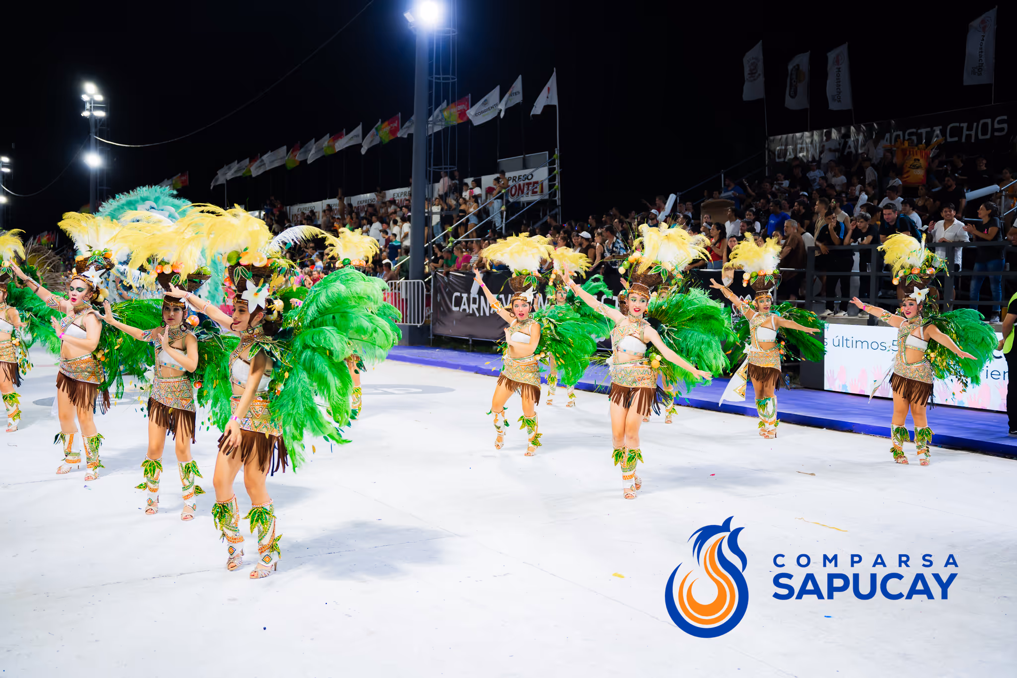 Galería de fotos del corso del Carnaval 2025