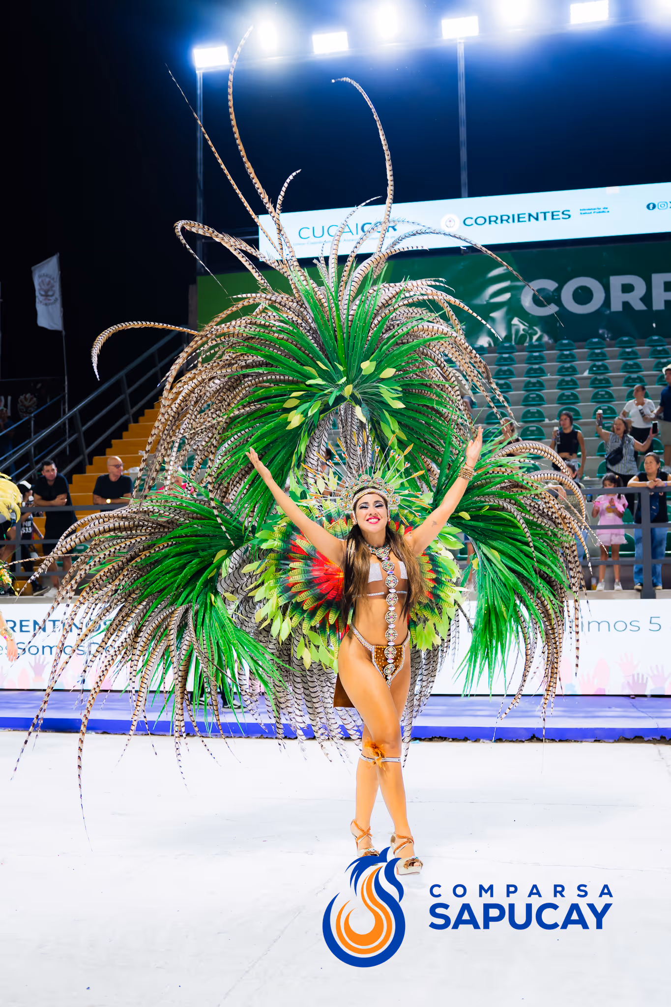 Galería de fotos del corso del Carnaval 2025