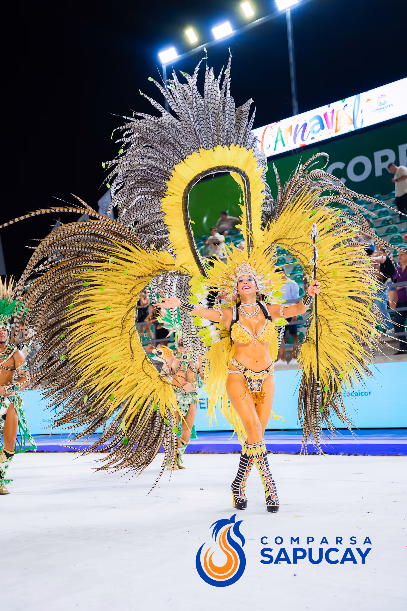 Galería de fotos del corso del Carnaval 2025