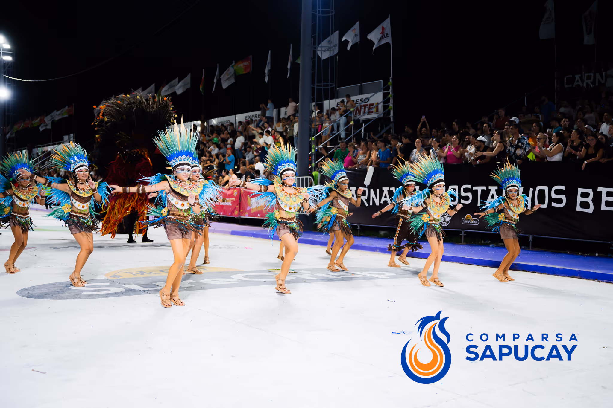Galería de fotos del corso del Carnaval 2025