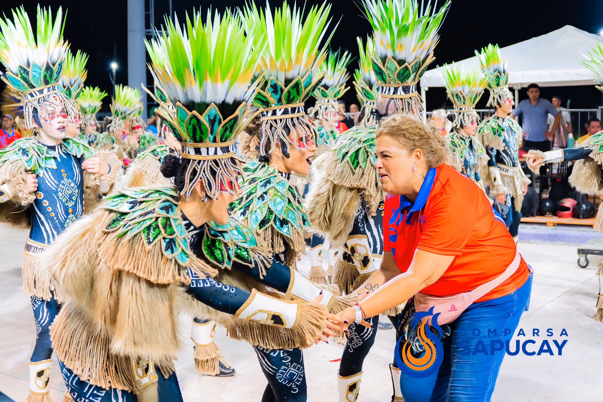 Galería de fotos del corso del Carnaval 2025
