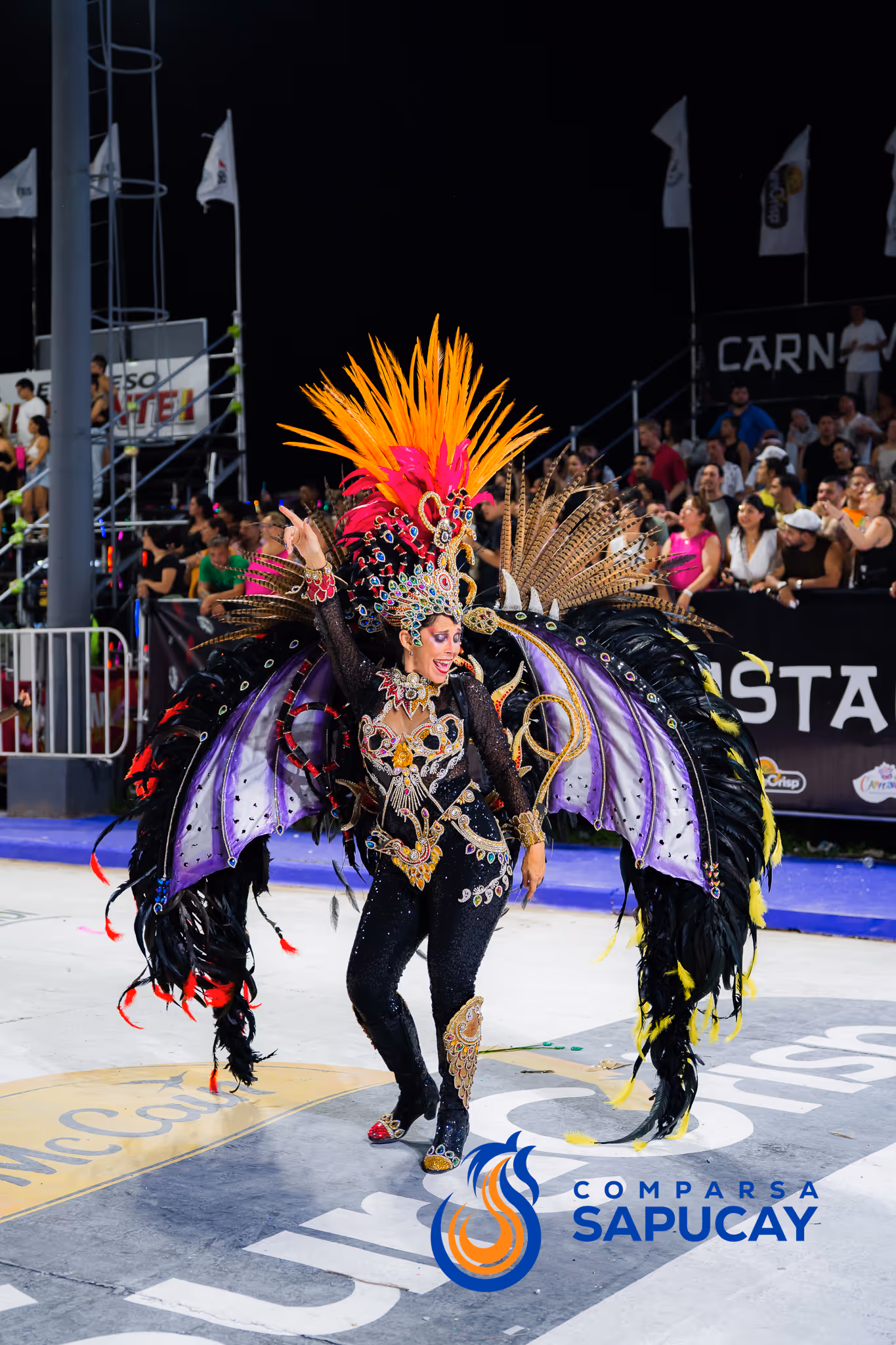 Galería de fotos del corso del Carnaval 2025