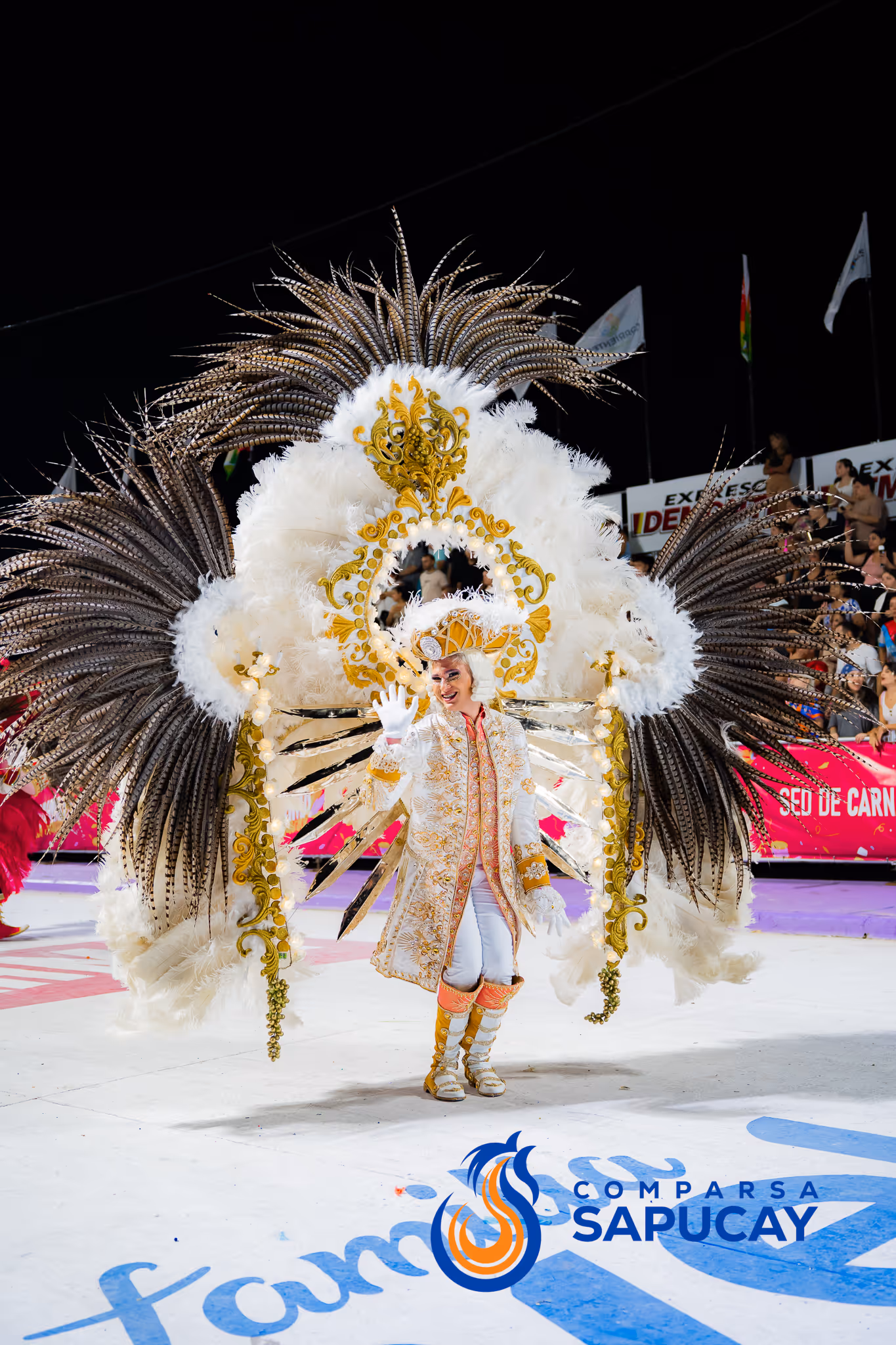 Galería de fotos del corso del Carnaval 2025
