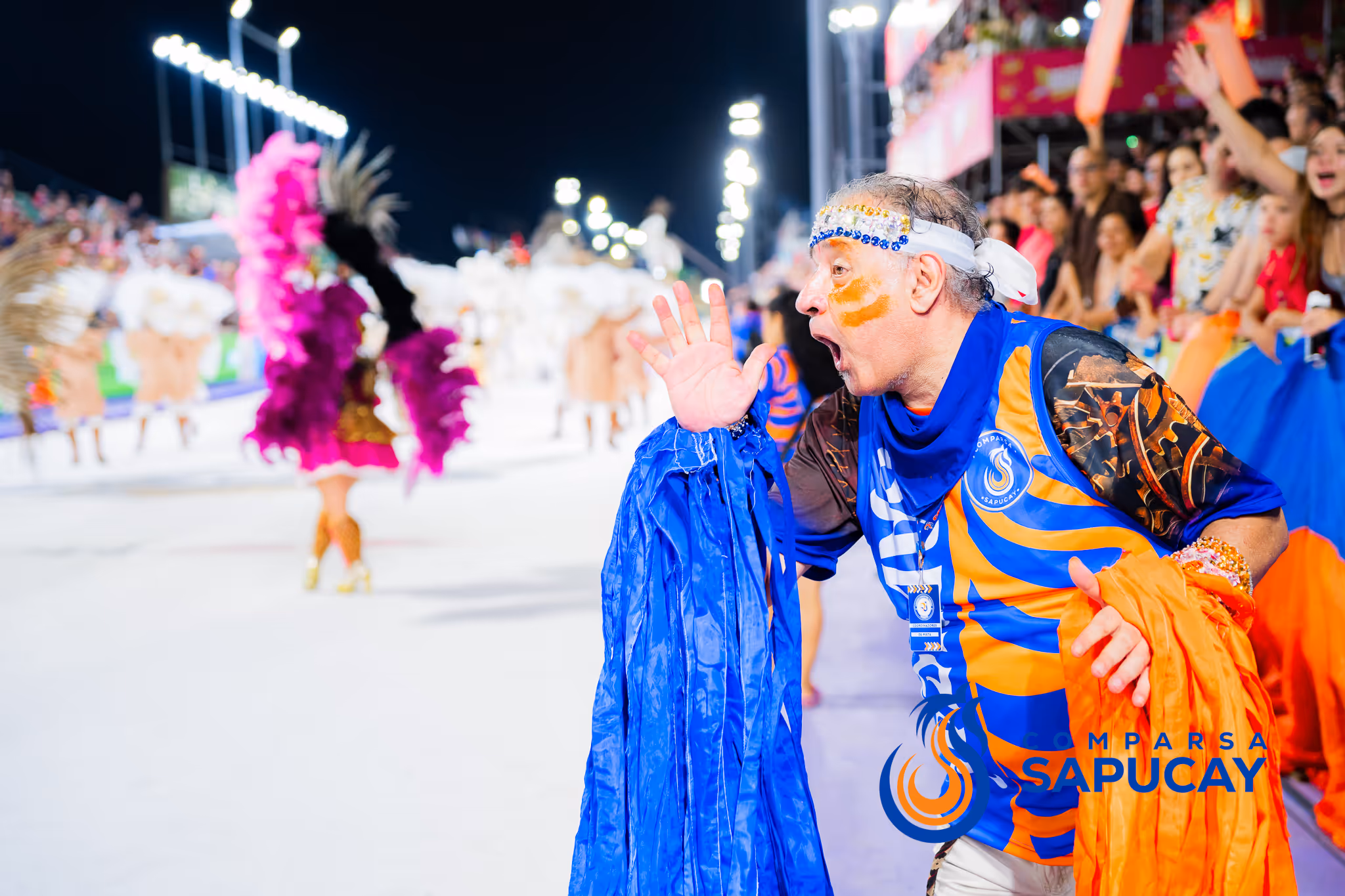 Galería de fotos del corso del Carnaval 2025