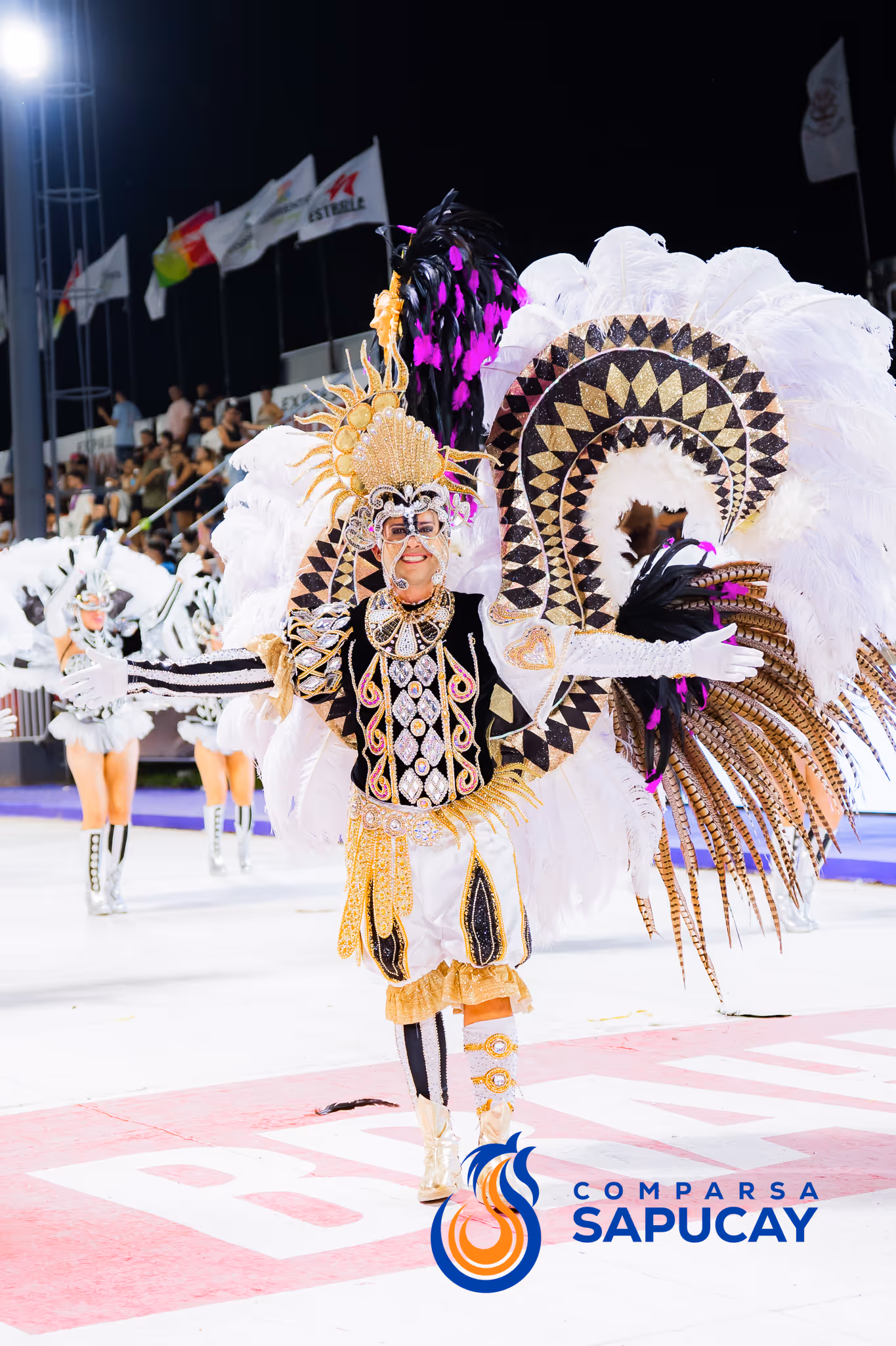 Galería de fotos del corso del Carnaval 2025