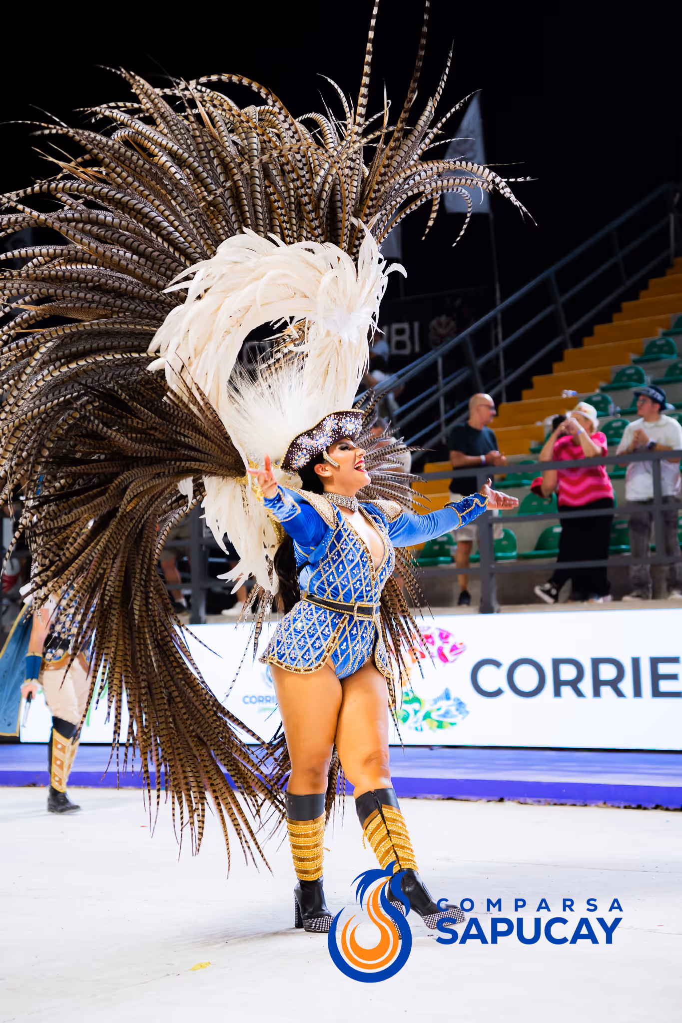 Galería de fotos del corso del Carnaval 2025