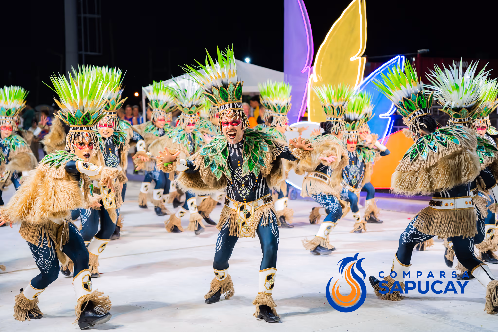 Galería de fotos del corso del Carnaval 2025
