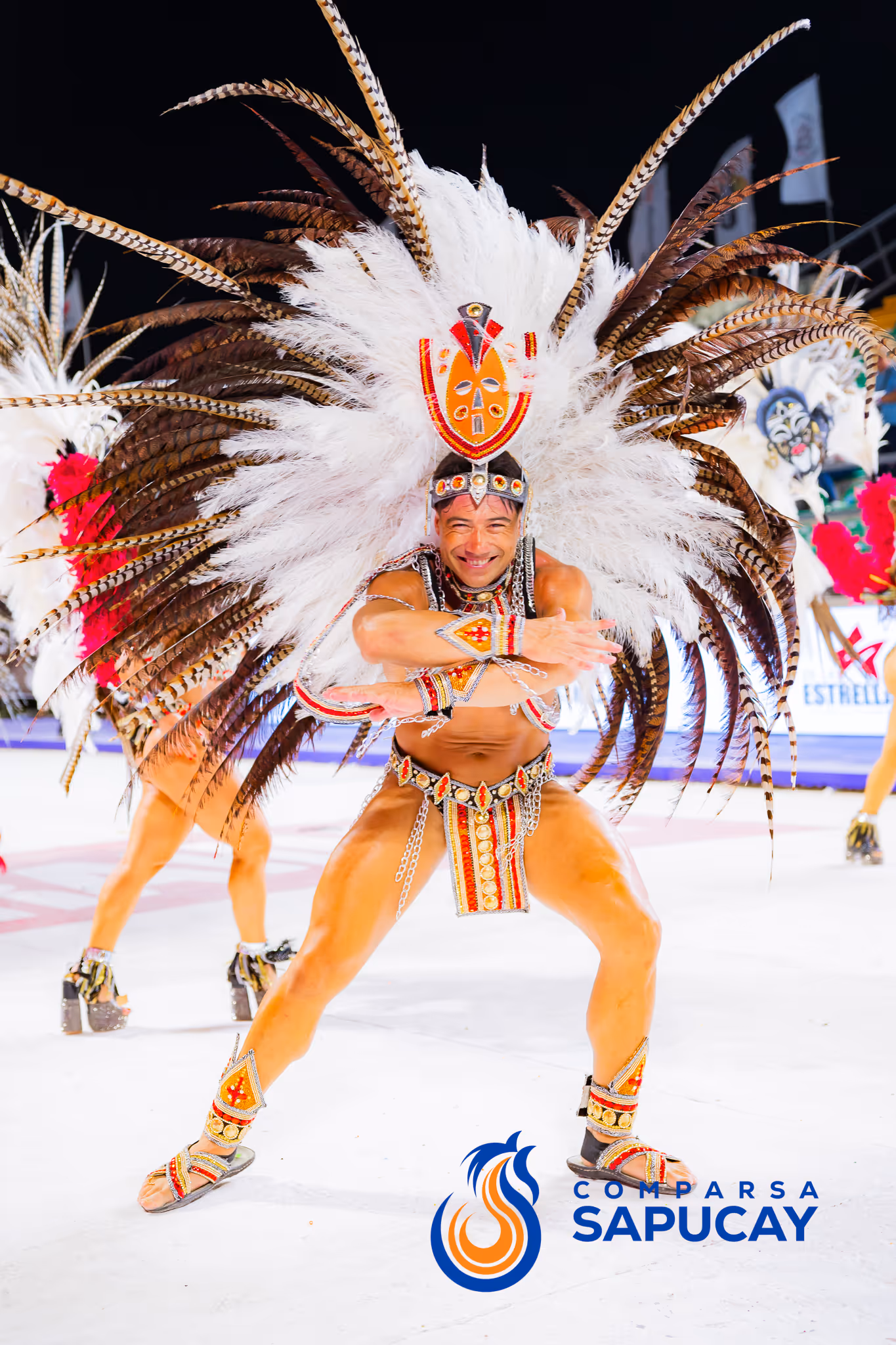Galería de fotos del corso del Carnaval 2025